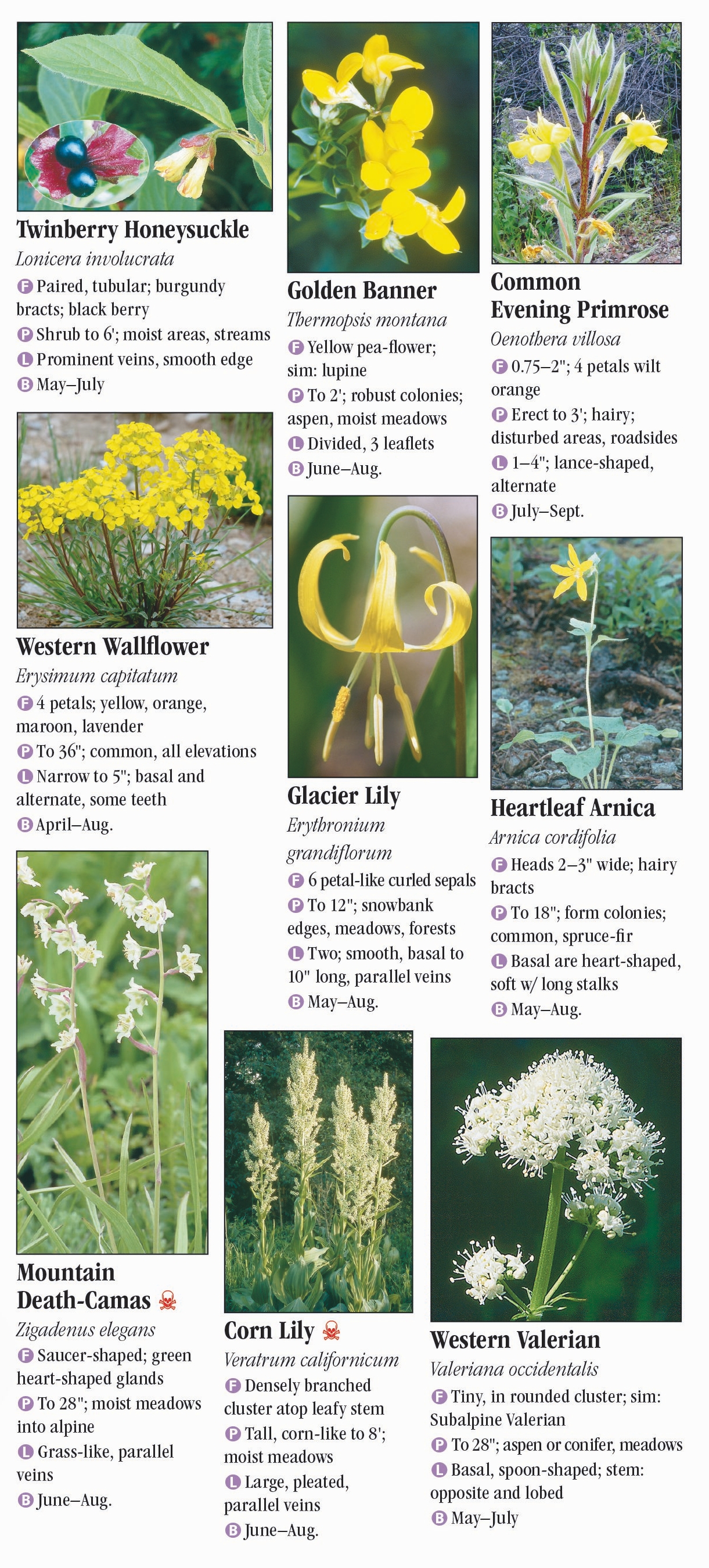 Wildflowers of the Southern Rocky Mountains – Quick Reference ...