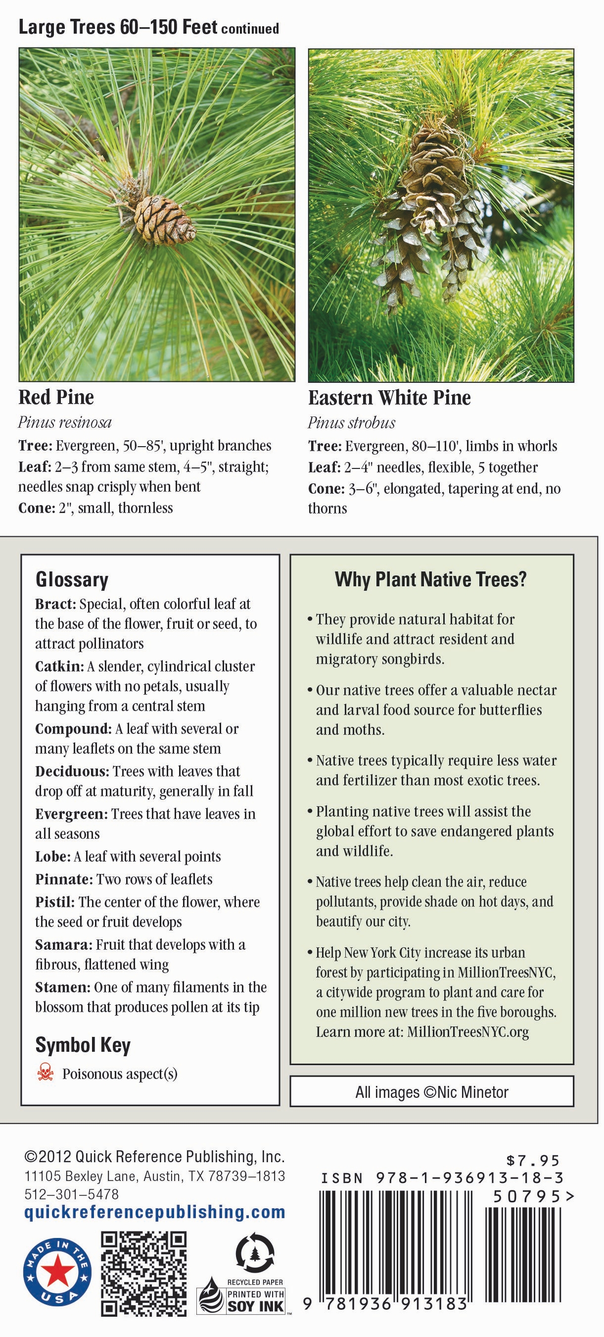 Trees of New York City, including Central Park and Long Island – Quick ...