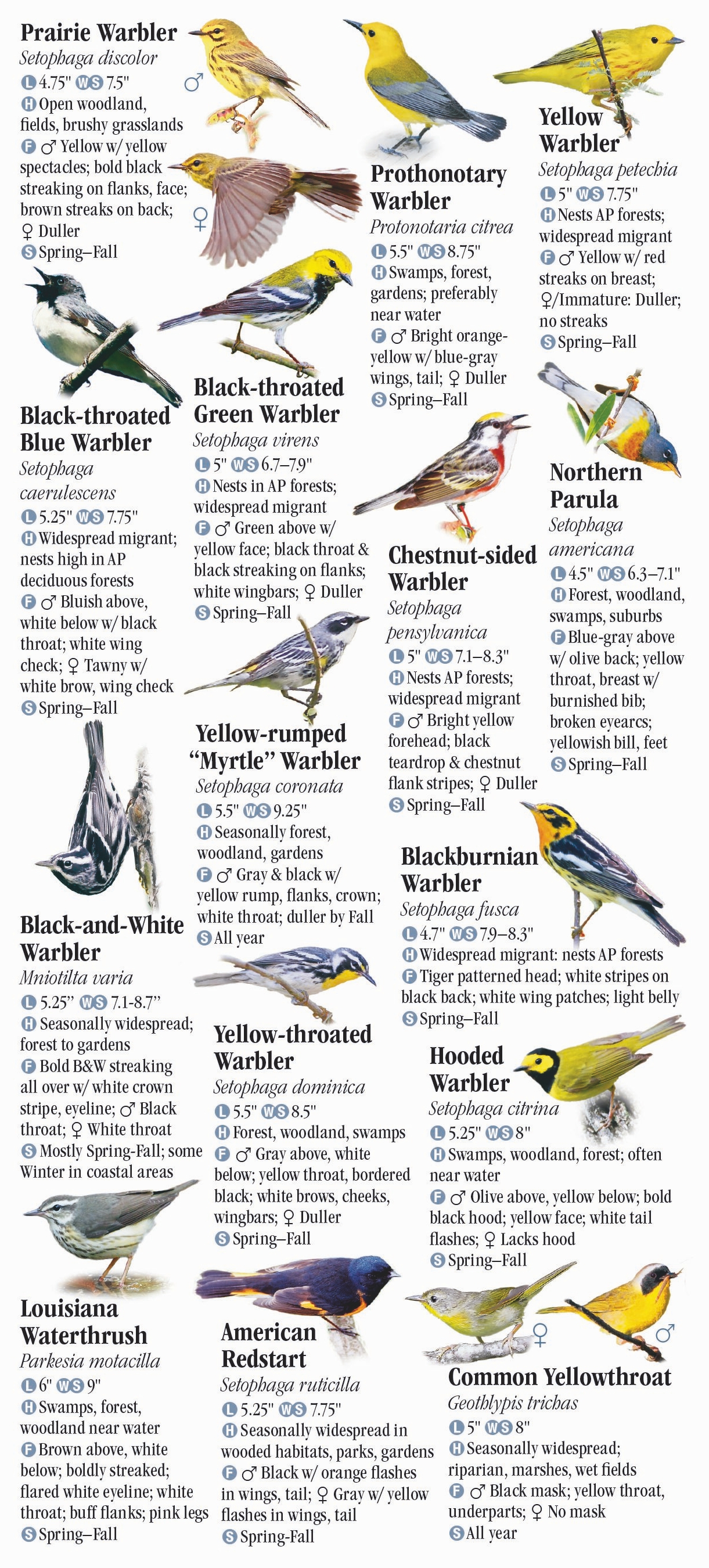 Birds of North Carolina, South Carolina and Georgia – Quick Reference ...