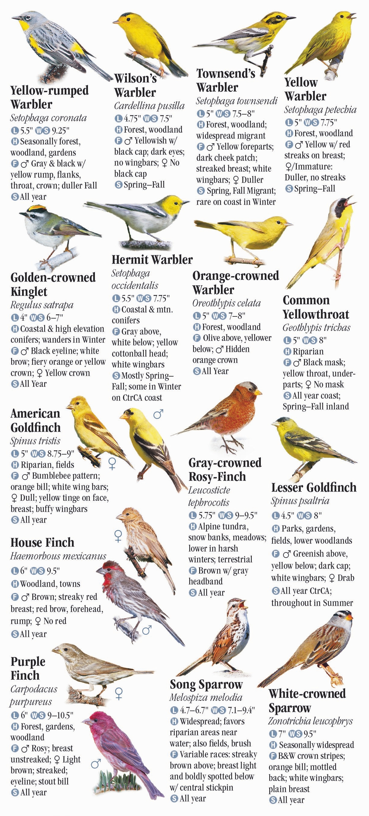 Birds of Central & Northern California – Quick Reference Publishing Retail