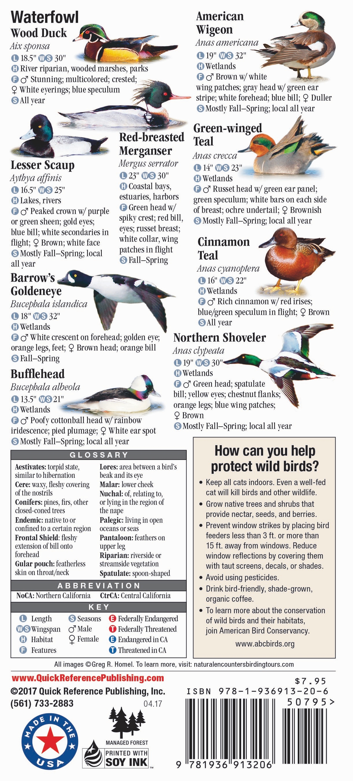 Birds of Central & Northern California – Quick Reference Publishing Retail