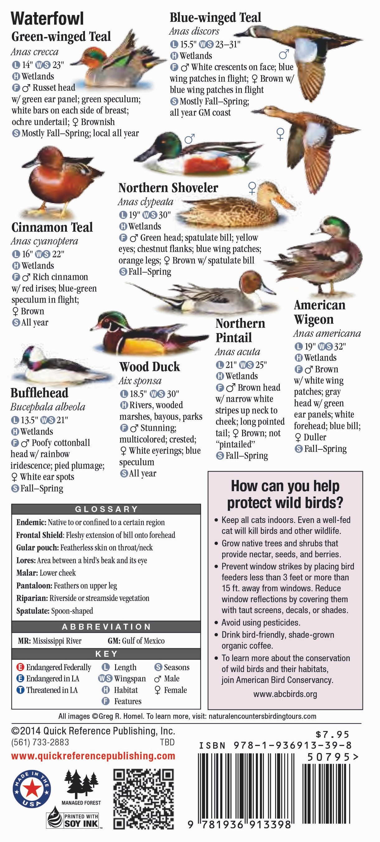 Birds of Louisiana – Quick Reference Publishing Retail