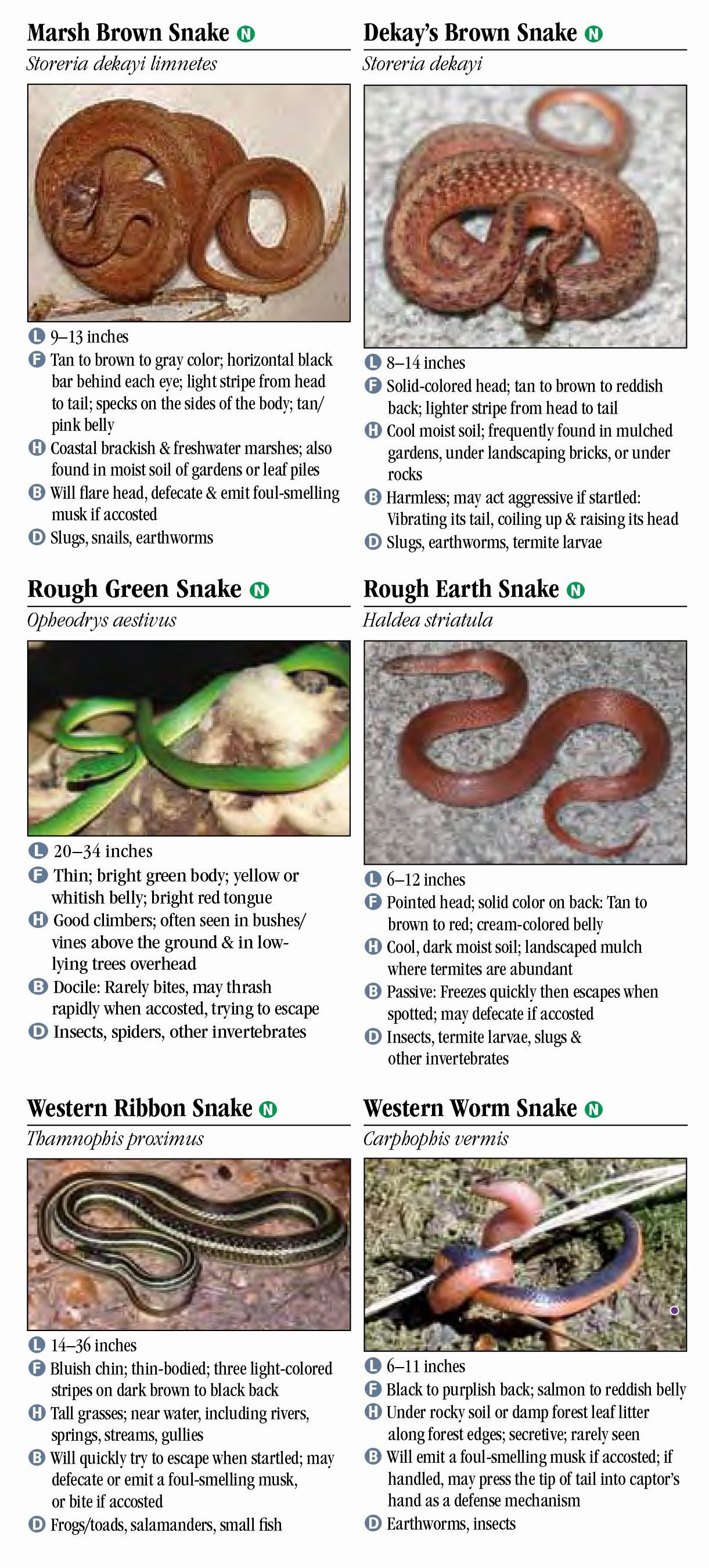 Poisonous Louisiana Snakes Identification Chart