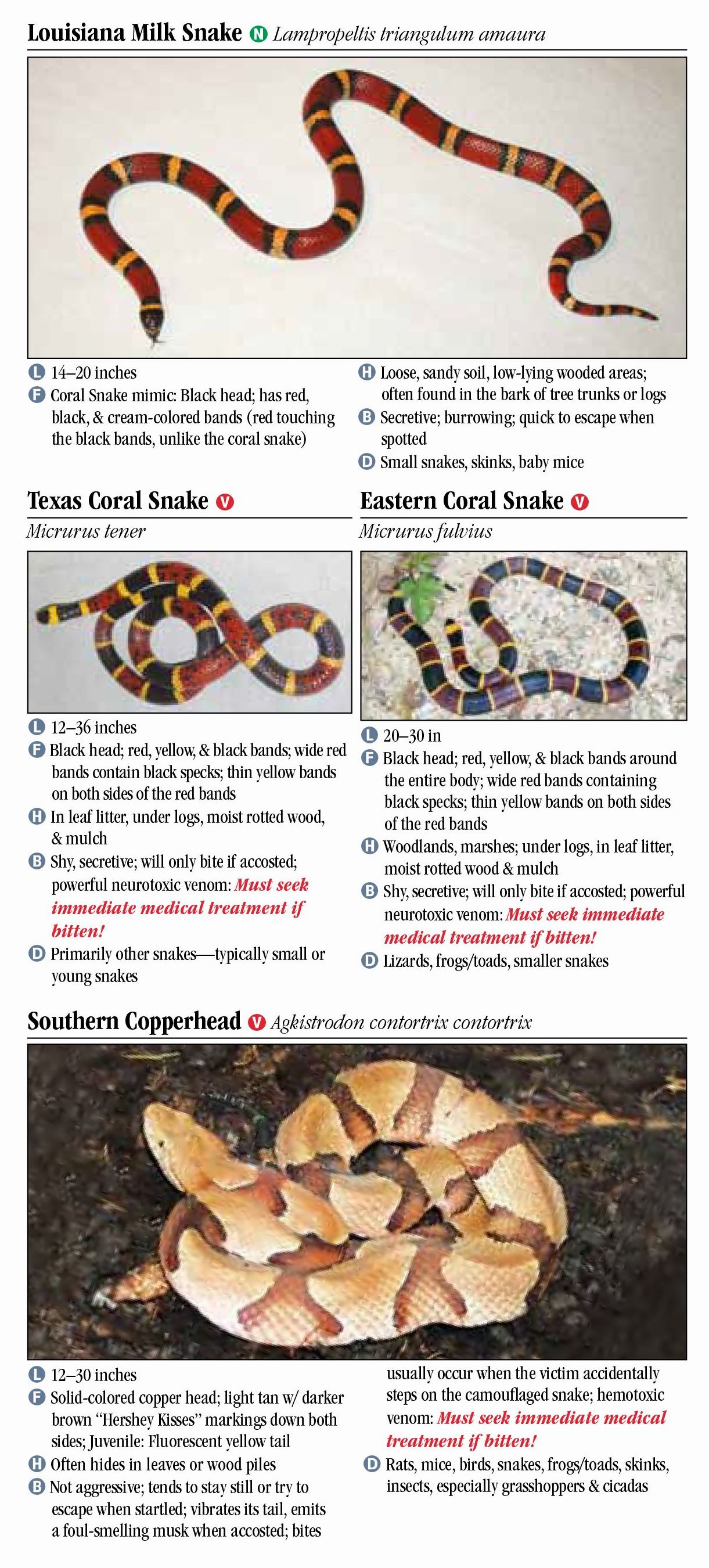 Poisonous Louisiana Snakes Identification Chart