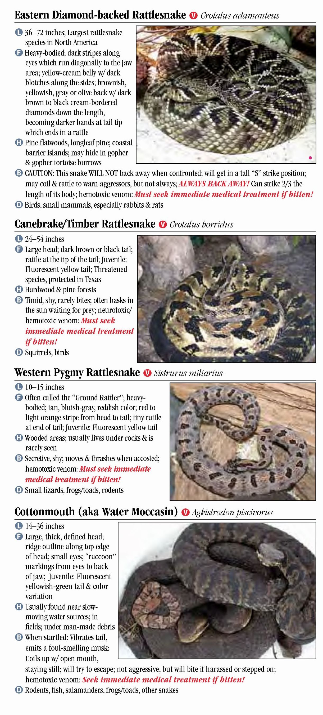 Venomous Snakes Of Louisiana Chart