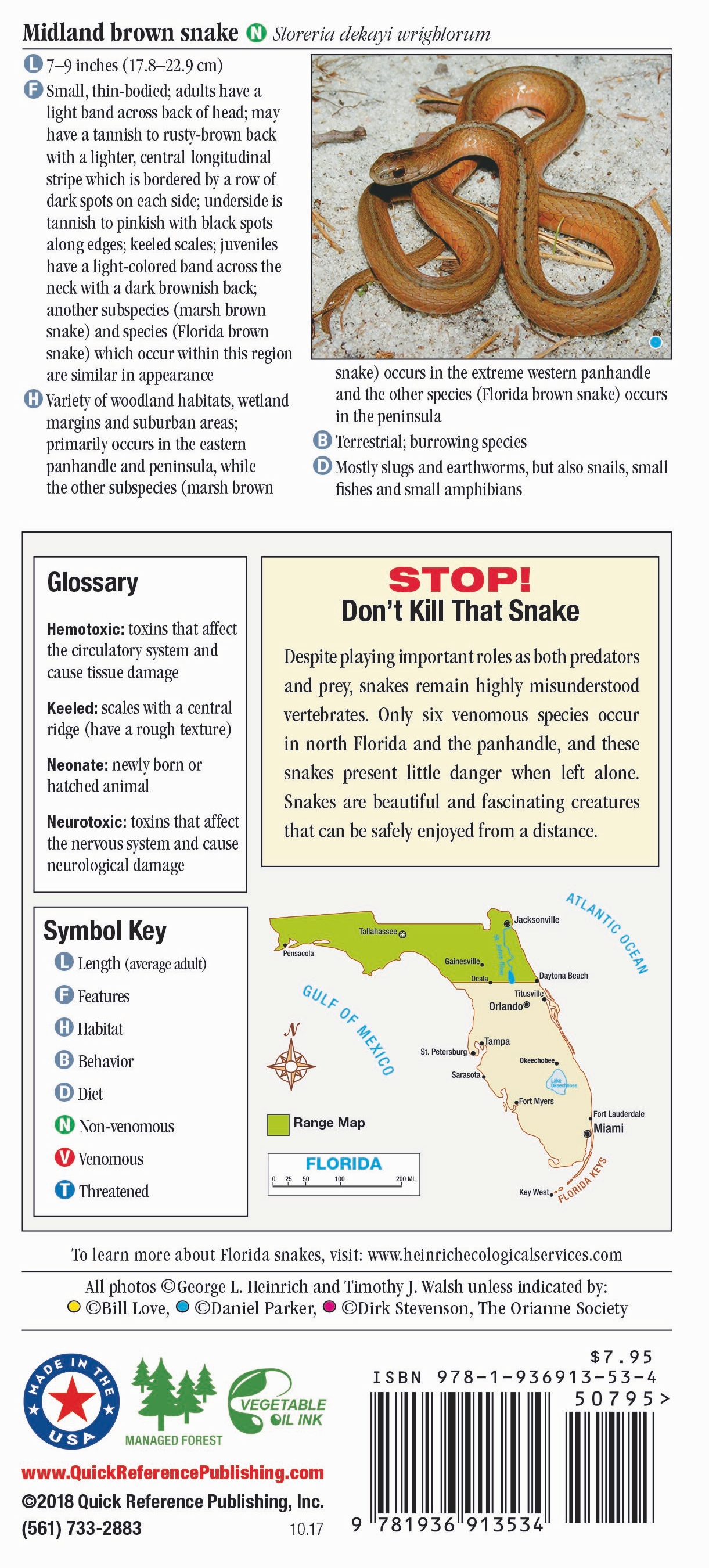 Common Florida Snakes Identification Chart