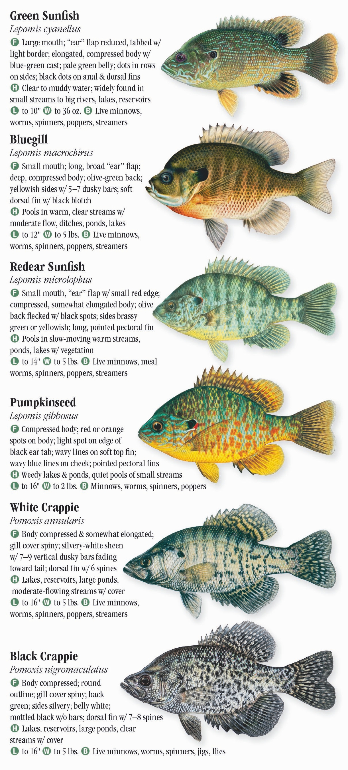 Freshwater Fishes of the Southern Rocky Mountains – Quick Reference ...