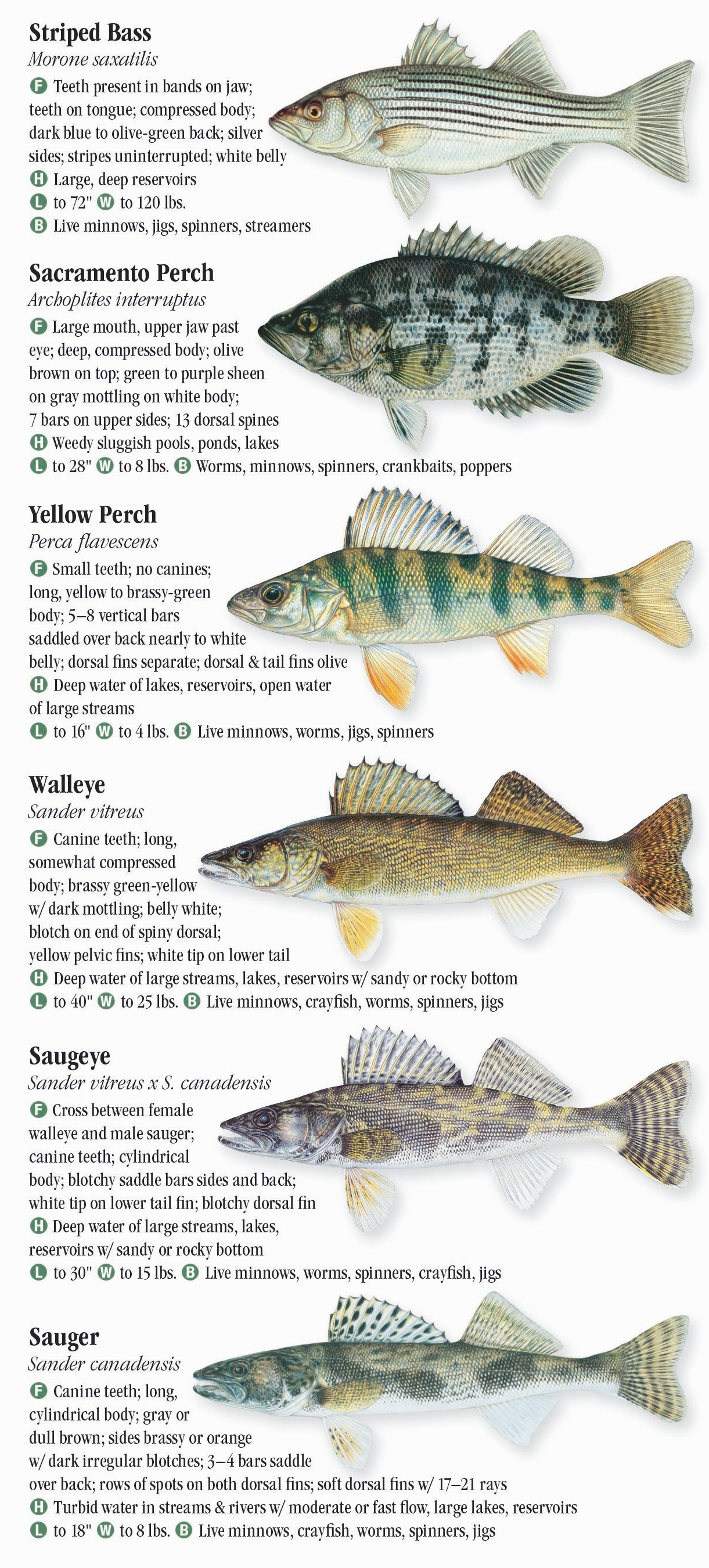 freshwater-fishes-of-the-southern-rocky-mountains-quick-reference