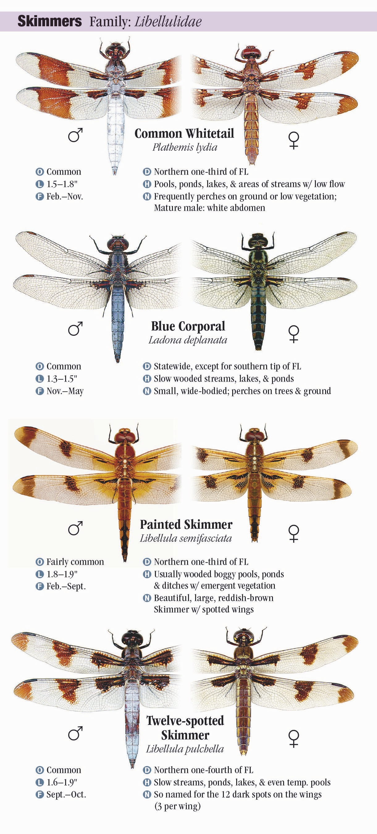 Dragonflies of Florida Quick Reference Publishing Retail