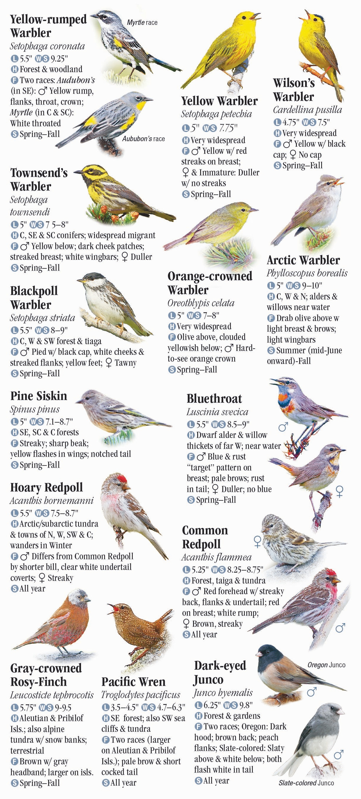 Birds Of Alaska Quick Reference Publishing Retail