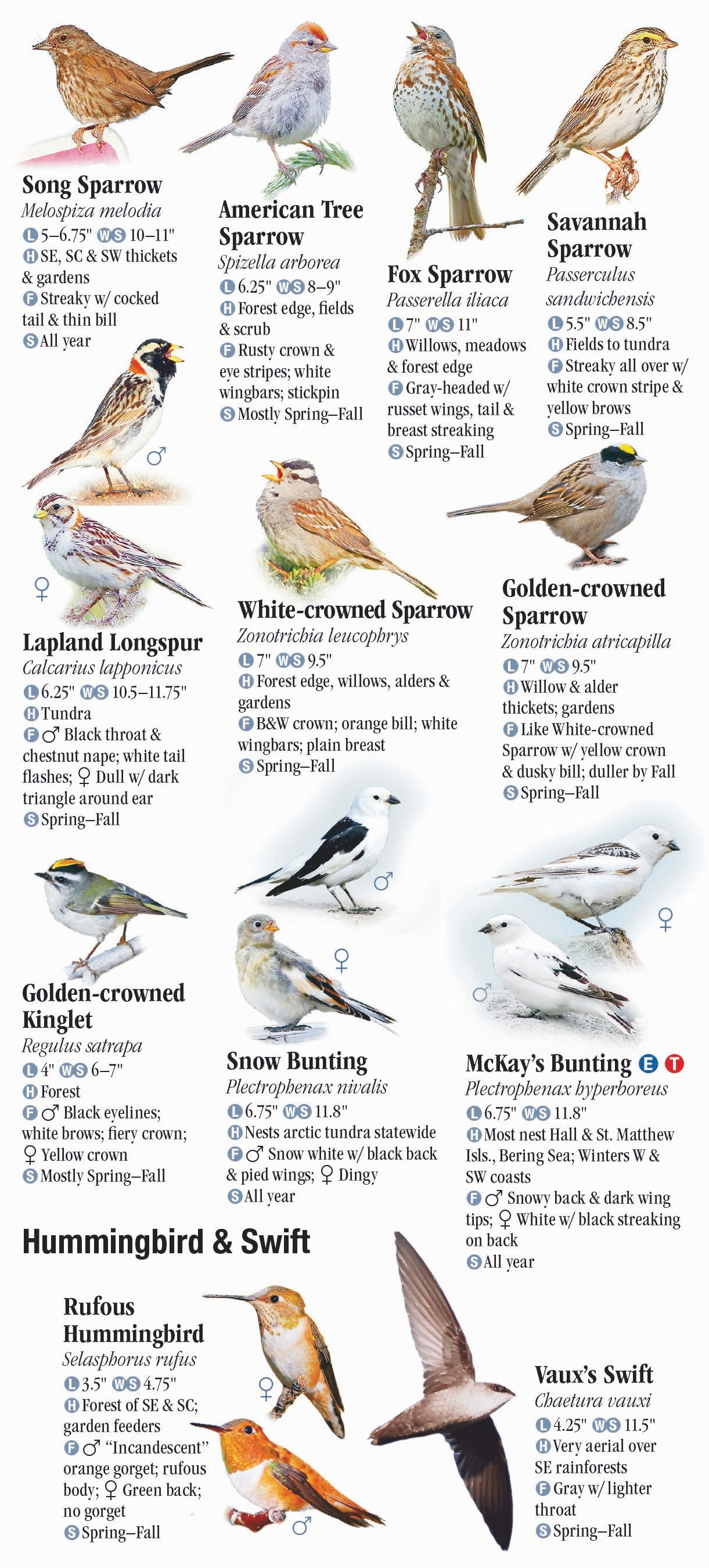 Birds of Alaska – Quick Reference Publishing Retail