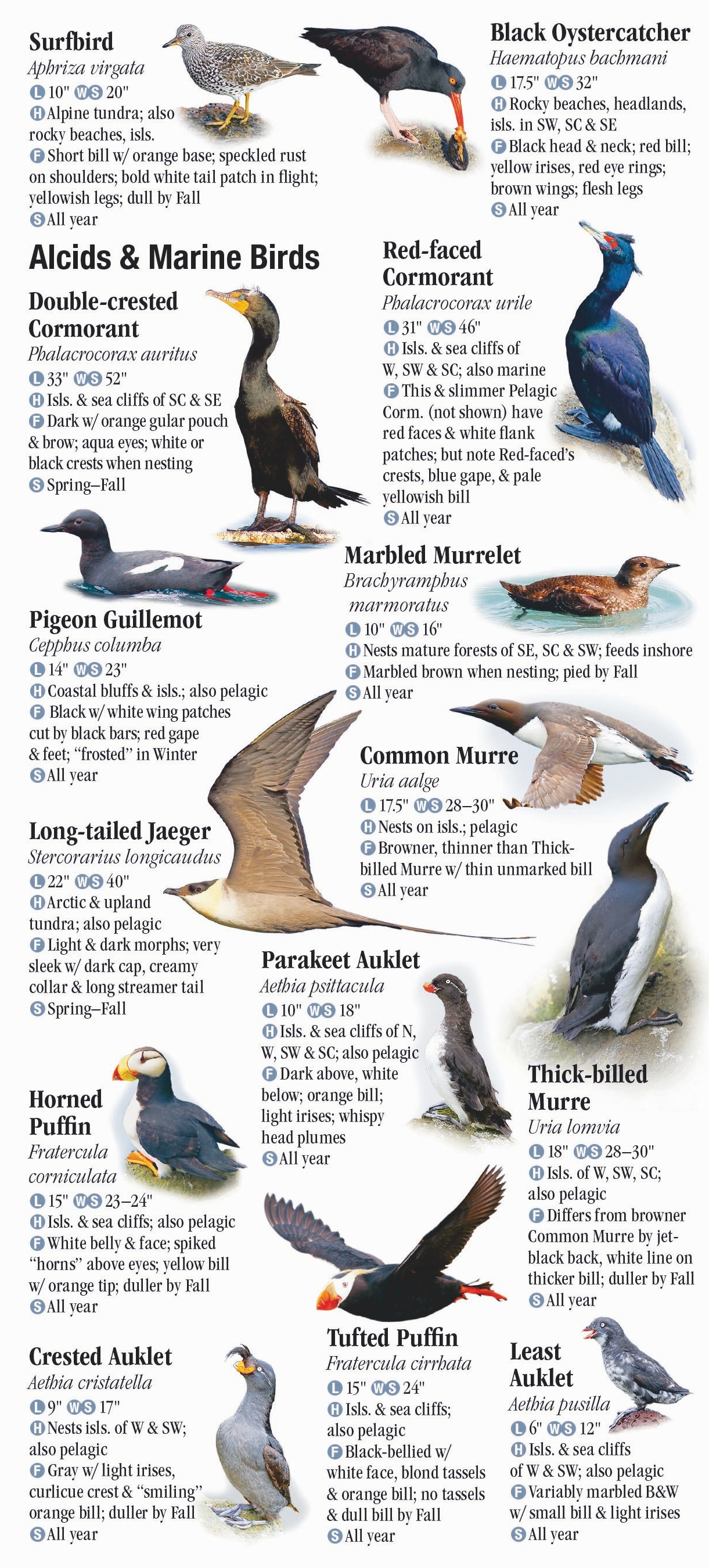 Birds of Alaska – Quick Reference Publishing Retail