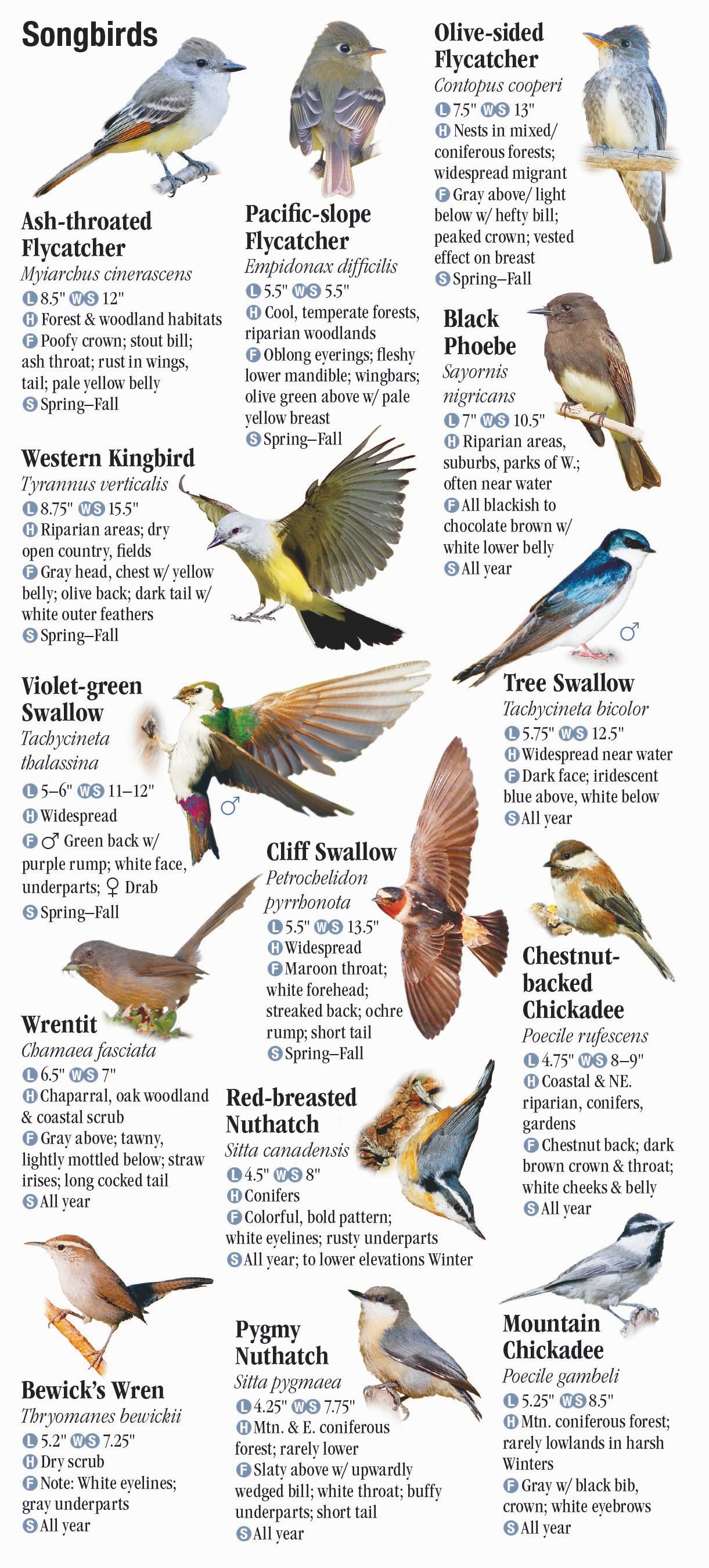 Birds of Oregon – Quick Reference Publishing Retail