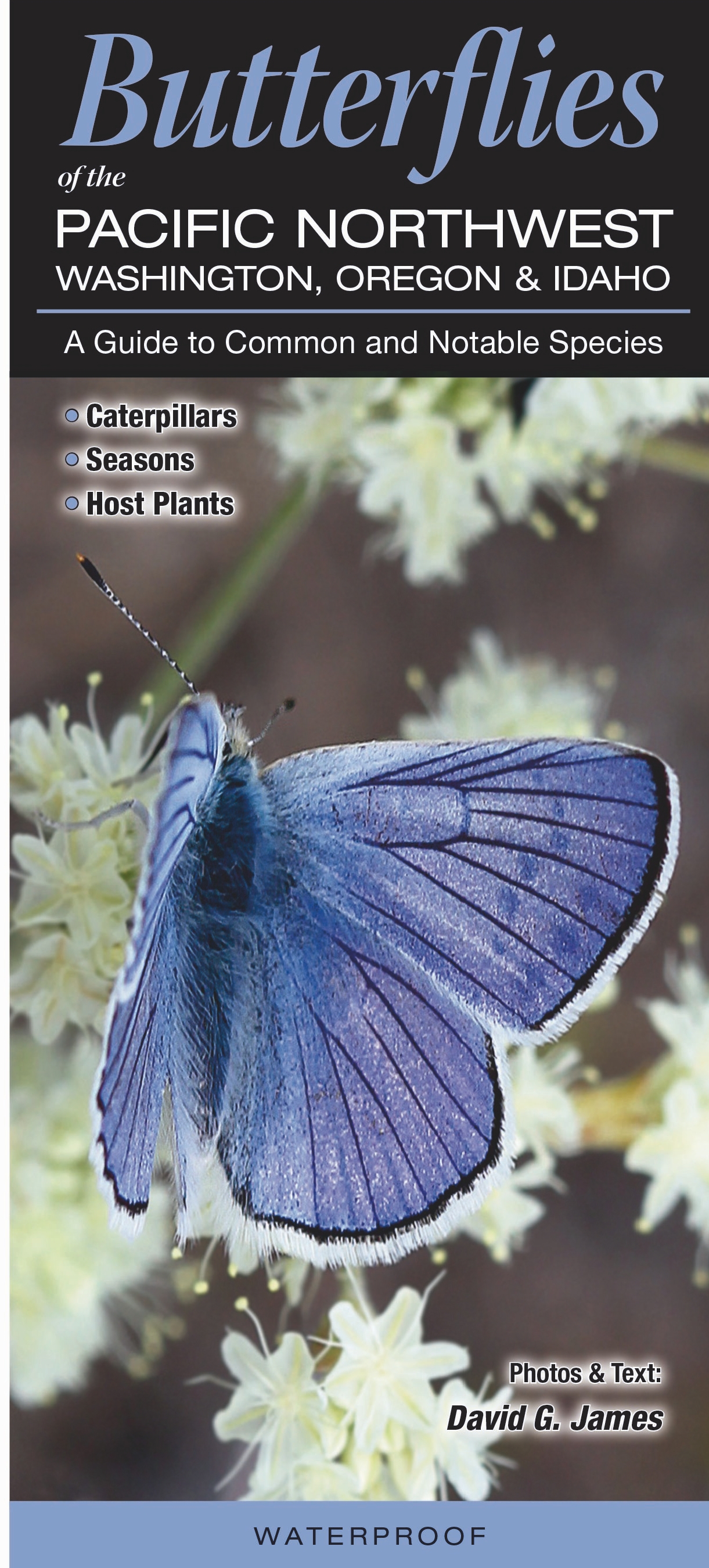 Butterflies Of The Pacific Northwest Quick Reference Publishing Retail