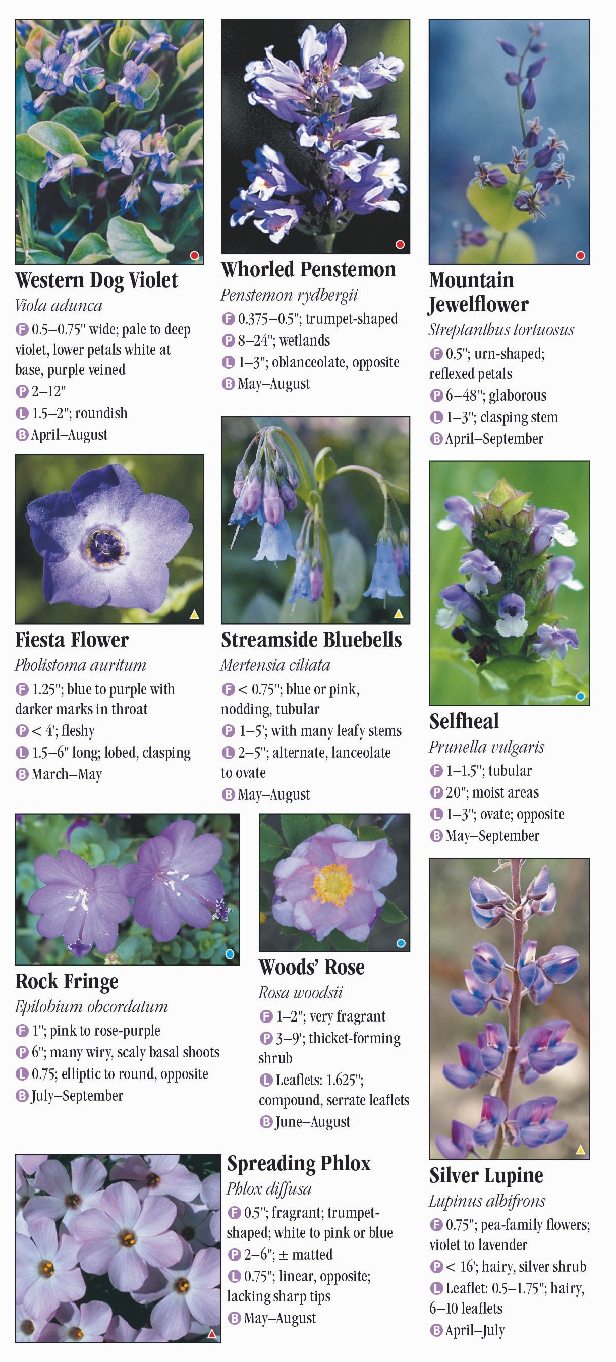 Wildflowers Of The Sierra Nevada Quick Reference Publishing - 