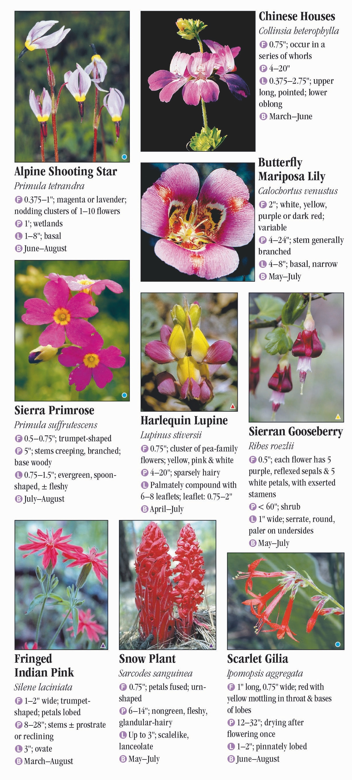 Wildflowers of the Sierra Nevada – Quick Reference Publishing Retail