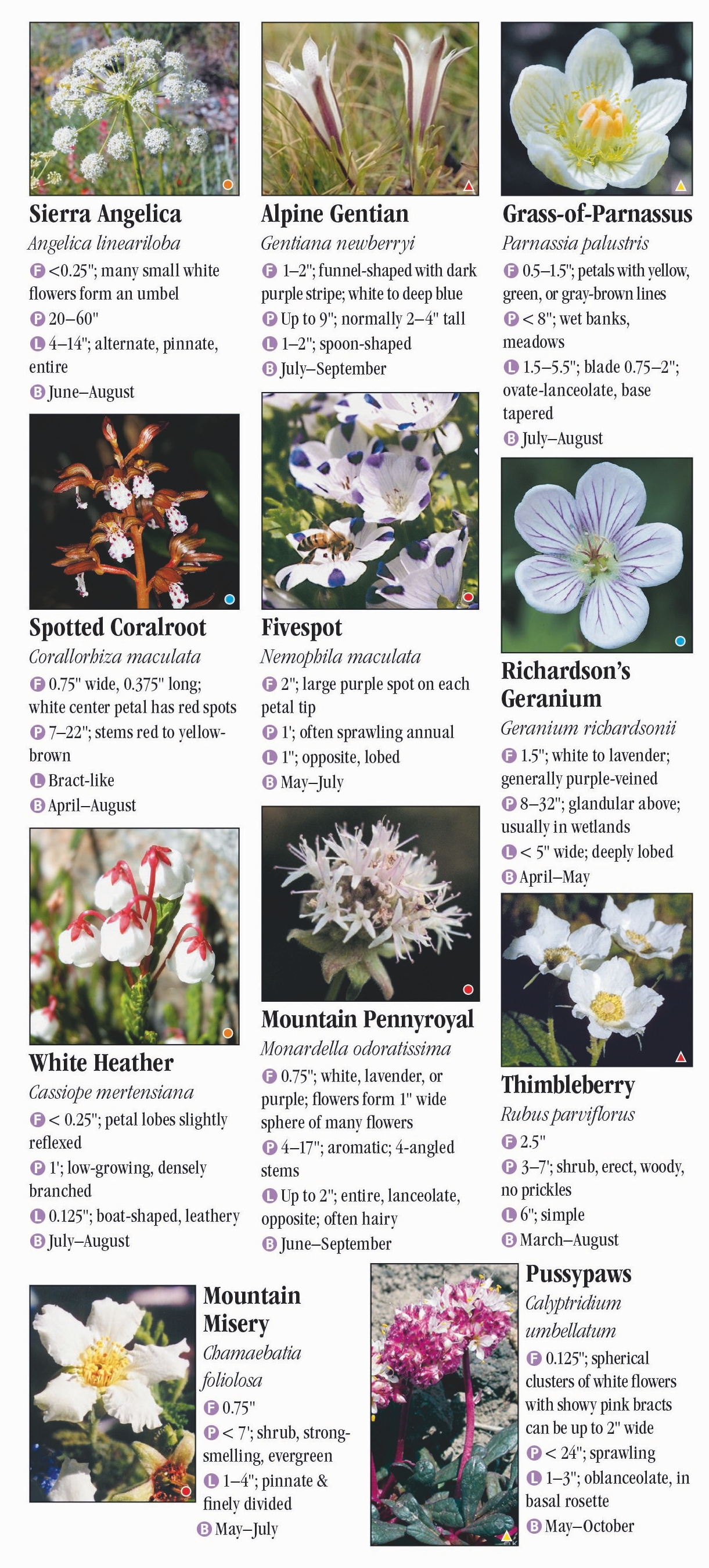 Wildflowers of the Sierra Nevada – Quick Reference Publishing Retail