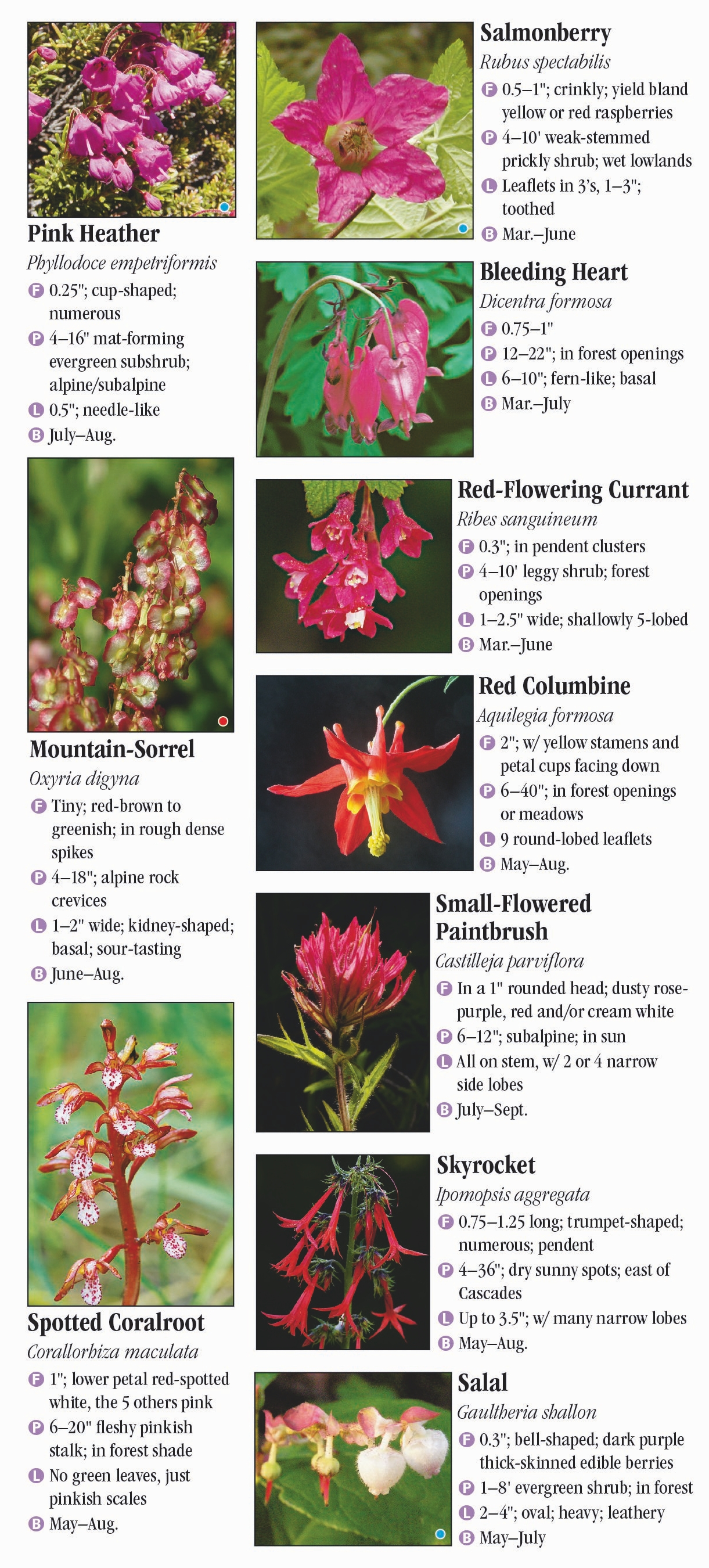 Wildflowers of Oregon’s Cascade Range – Quick Reference Publishing Retail