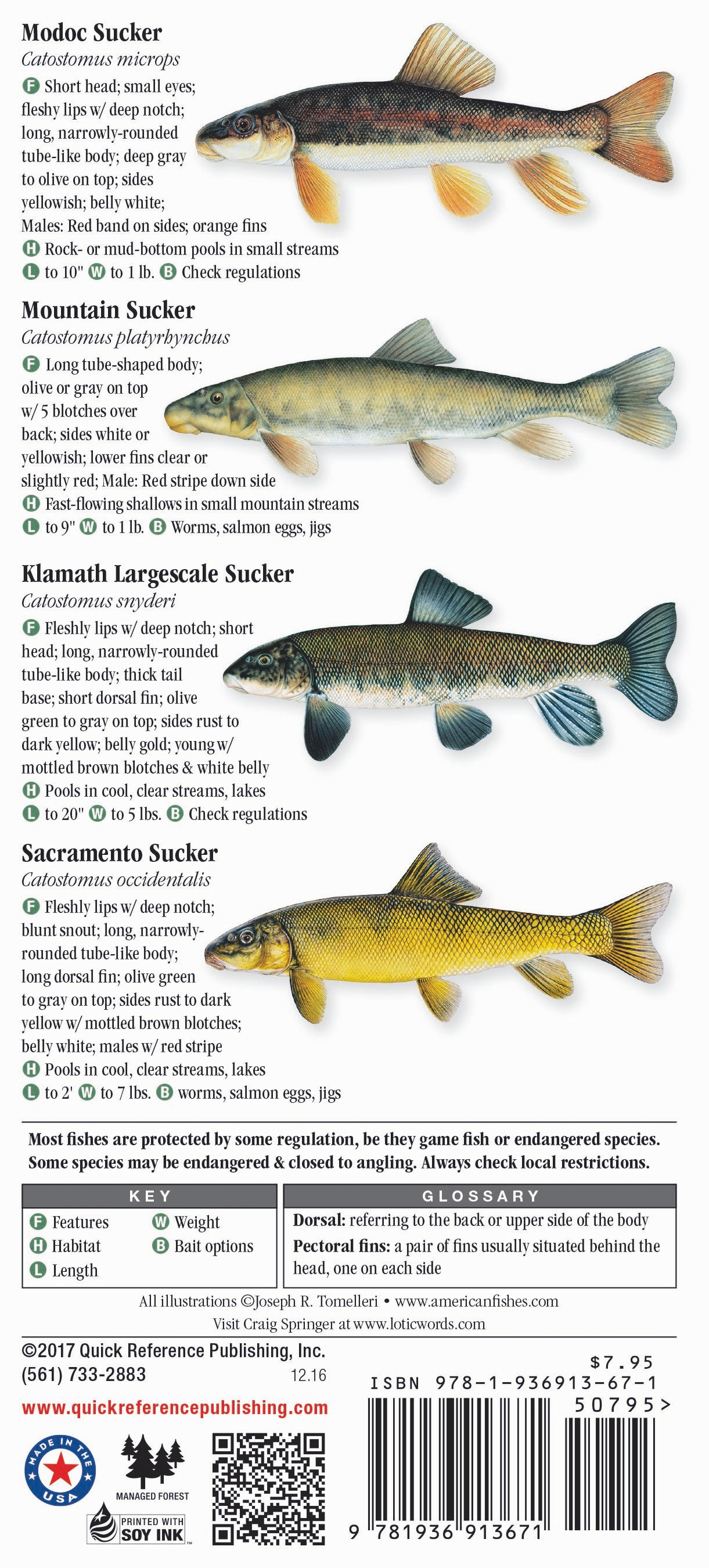 Fresh Water Fishes of Central & Northern California – Quick Reference ...