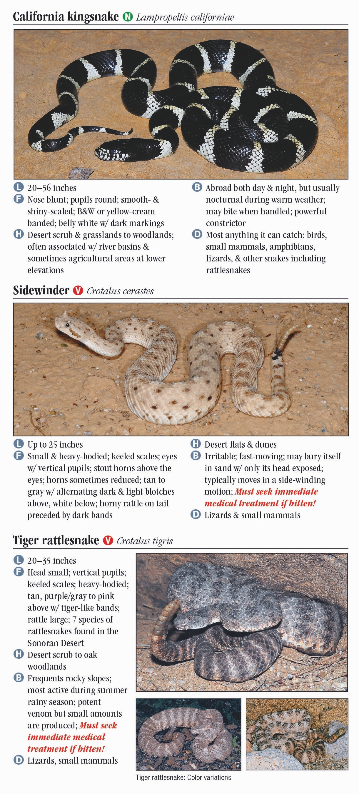 Reptiles & Amphibians of Sonoran Desert – Quick Reference Publishing Retail