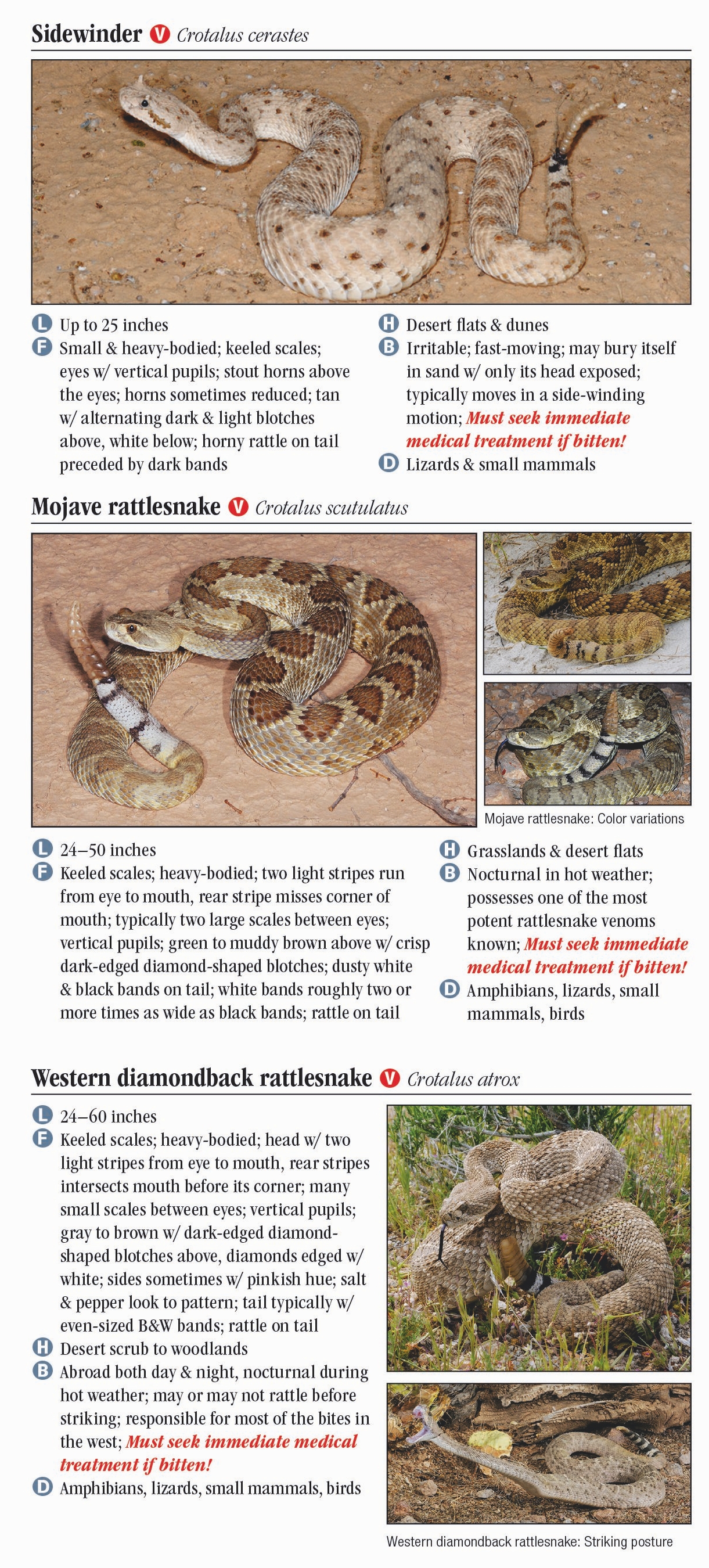 Reptiles & Amphibians of Mojave Desert – Quick Reference Publishing Retail