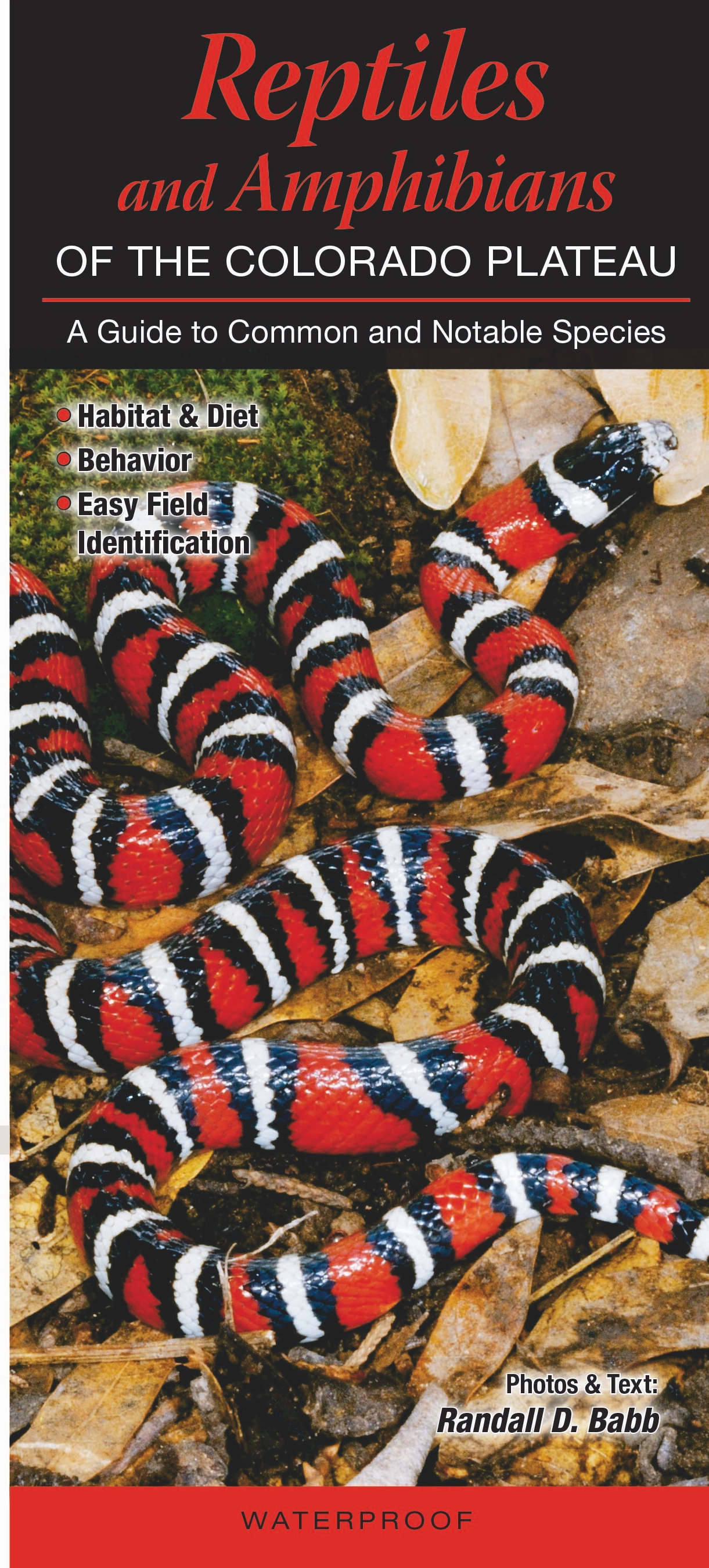 Reptiles & Amphibians of Colorado Plateau – Quick Reference Publishing