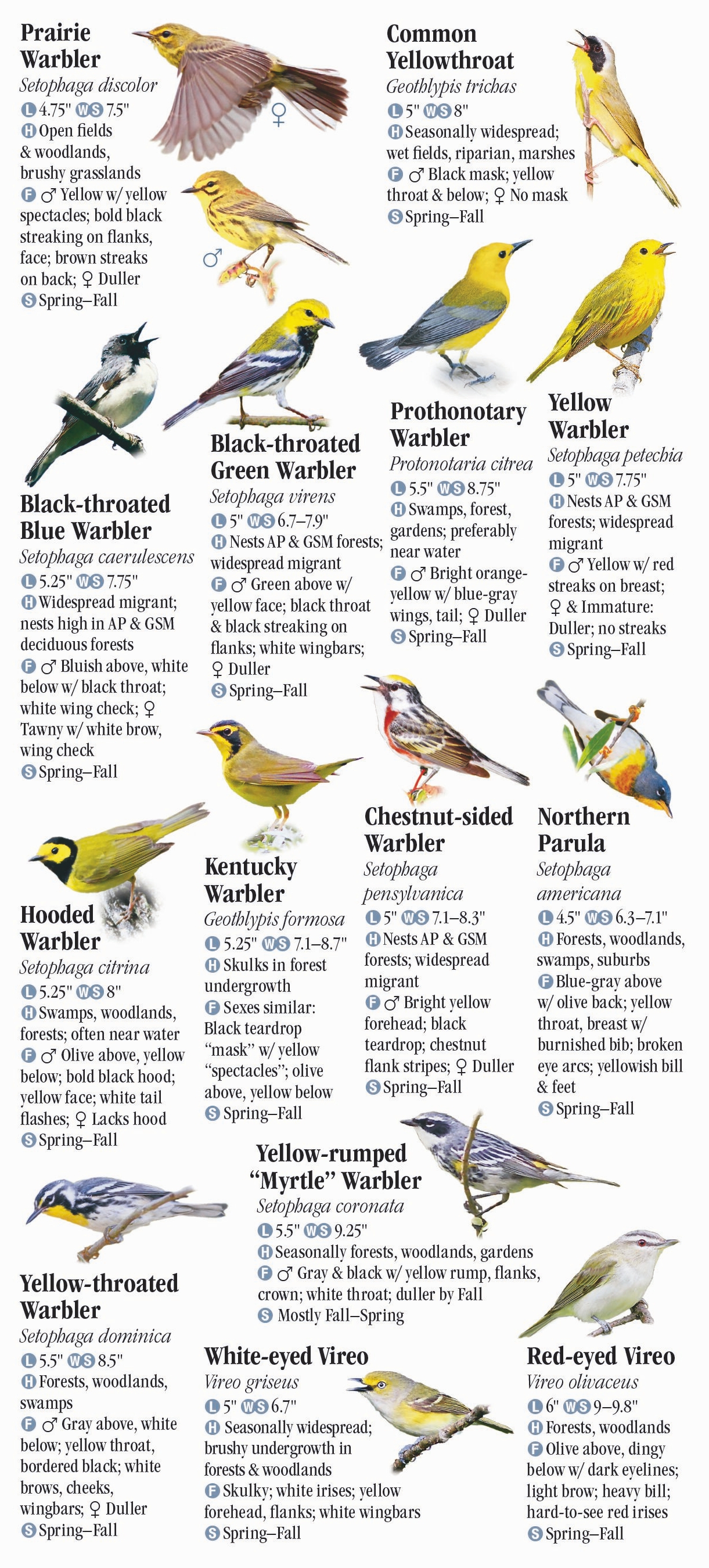 Birds of Tennessee including The Great Smoky Mountains – Quick ...