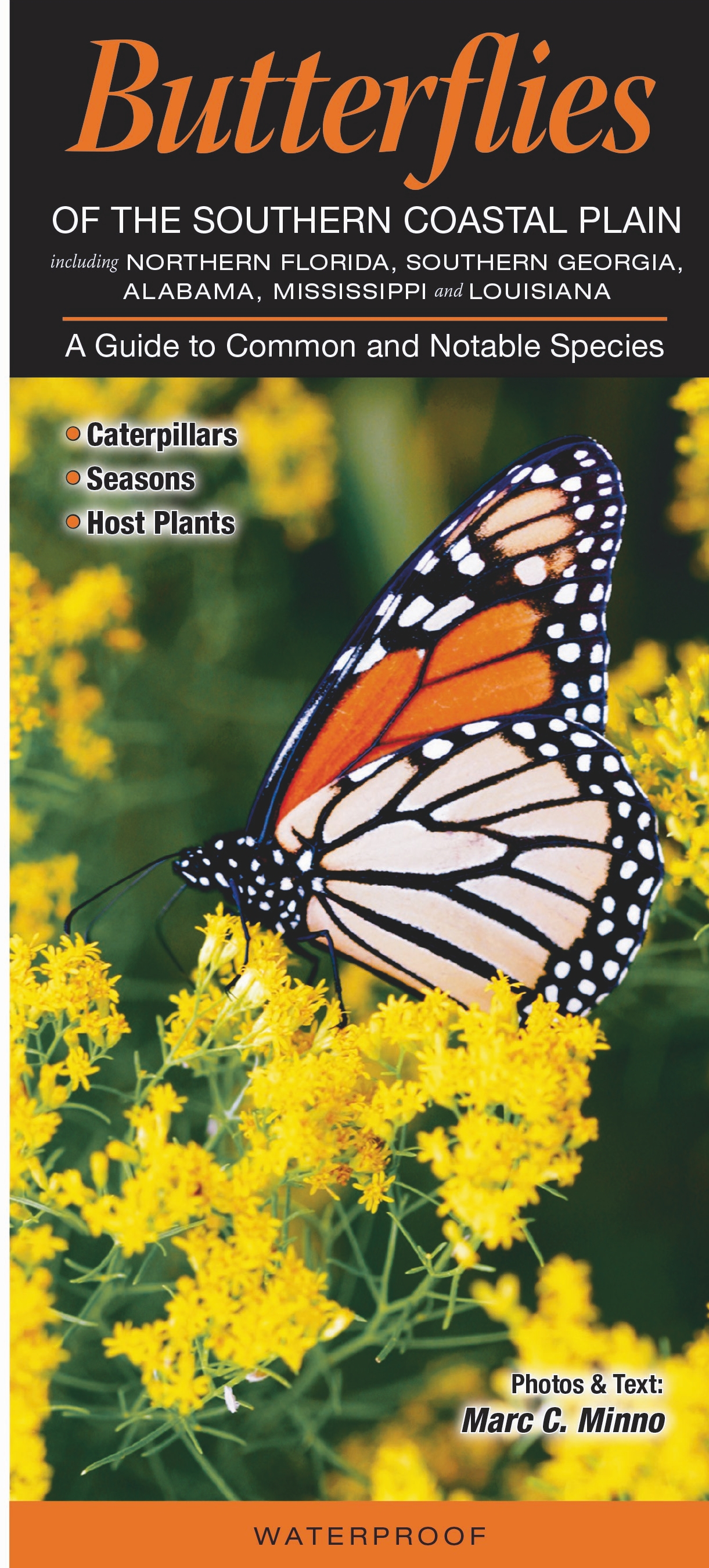 Butterflies of the Southern Coastal Plain – Quick Reference Publishing ...