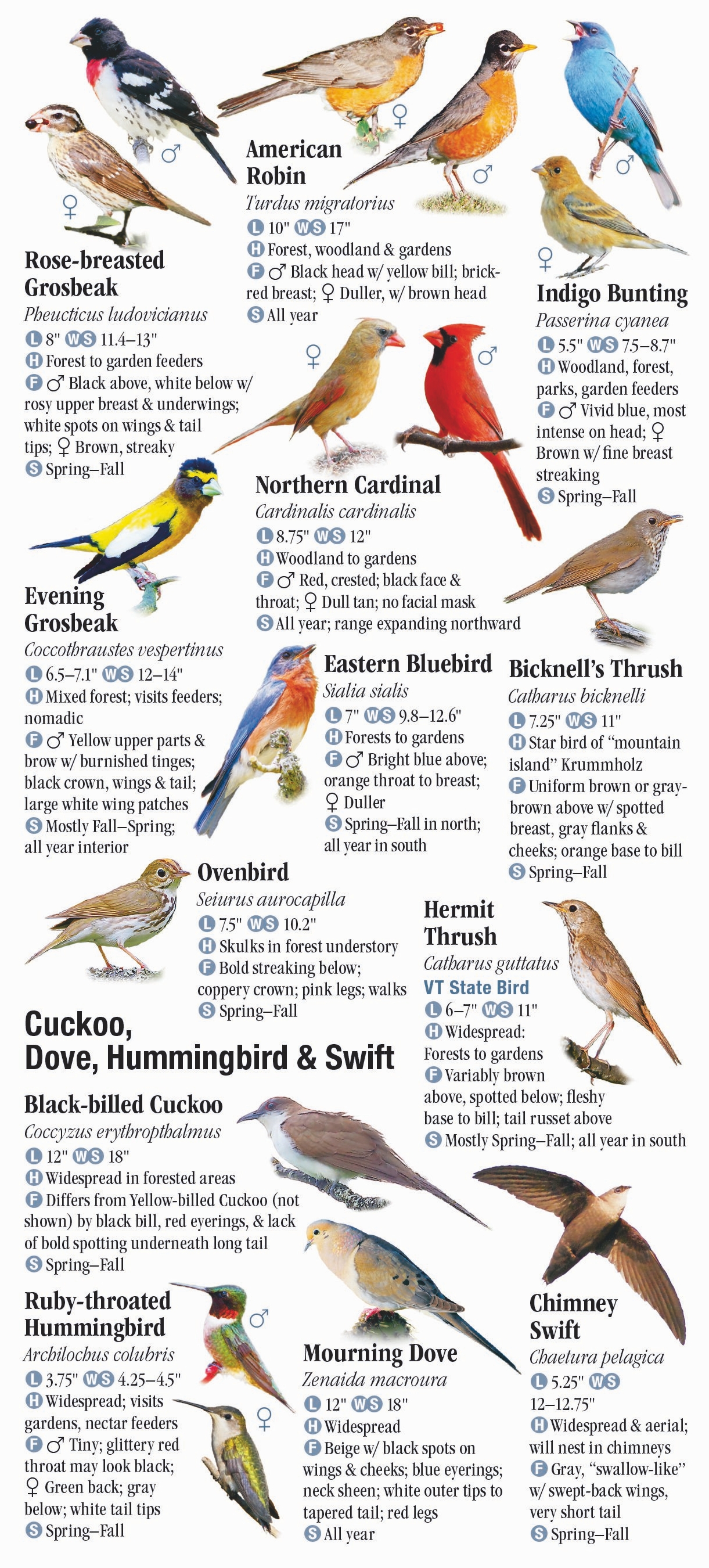 Birds of New England – Quick Reference Publishing Retail