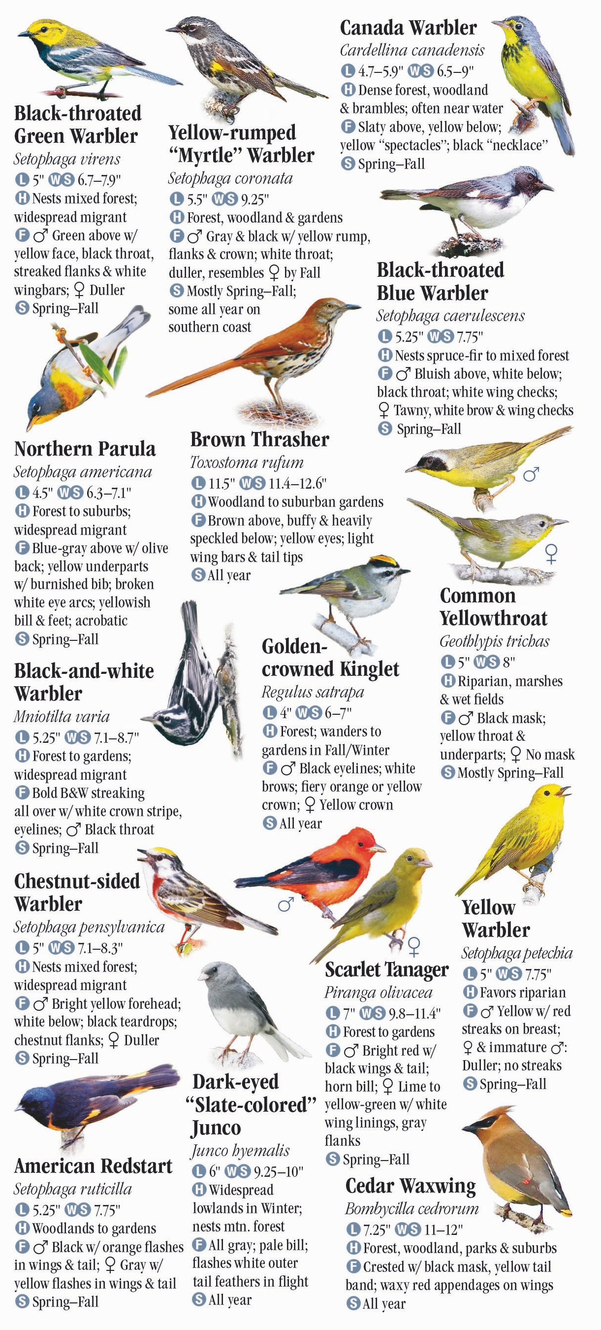 Birds of the Mid-Atlantic States – Quick Reference Publishing Retail