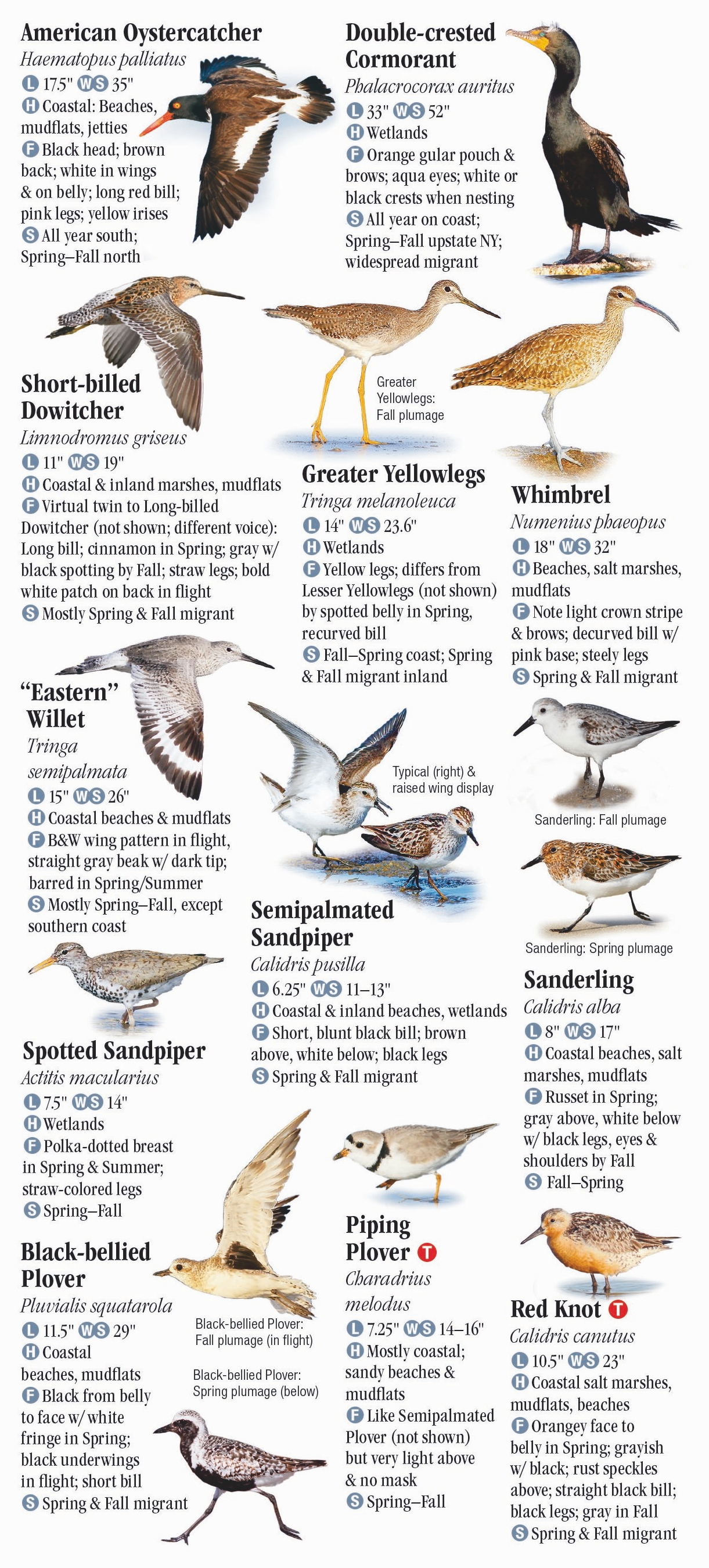 Birds of the Mid-Atlantic States – Quick Reference Publishing Retail