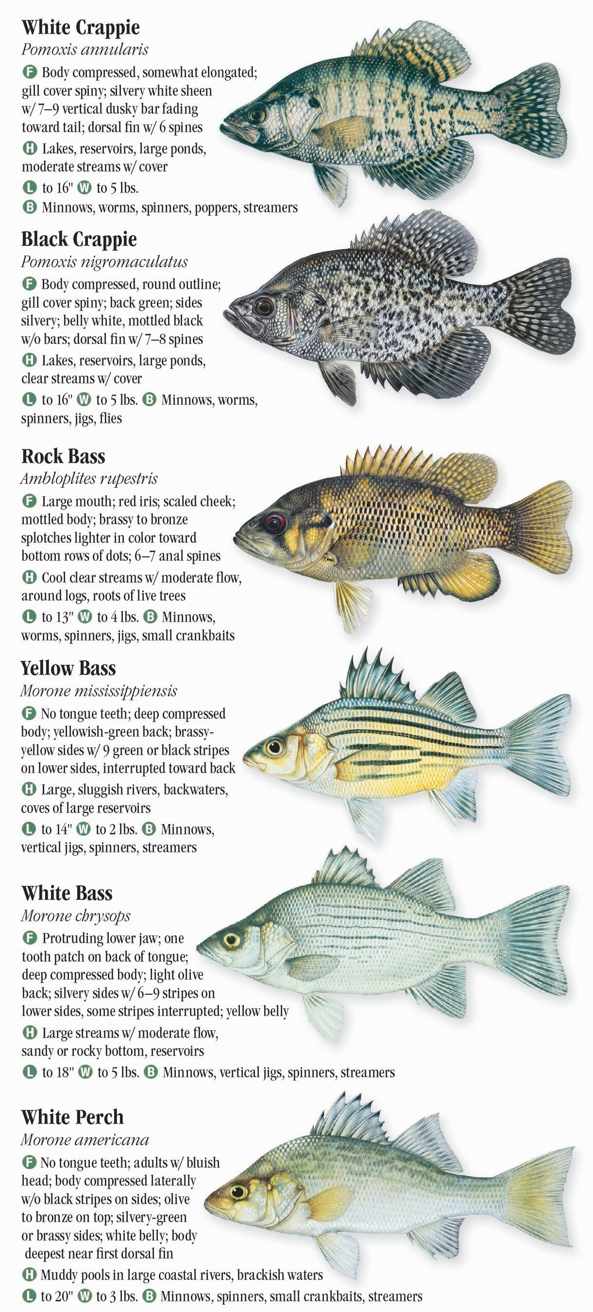 Fresh Water Fishes of the Great Lakes – Quick Reference Publishing Retail