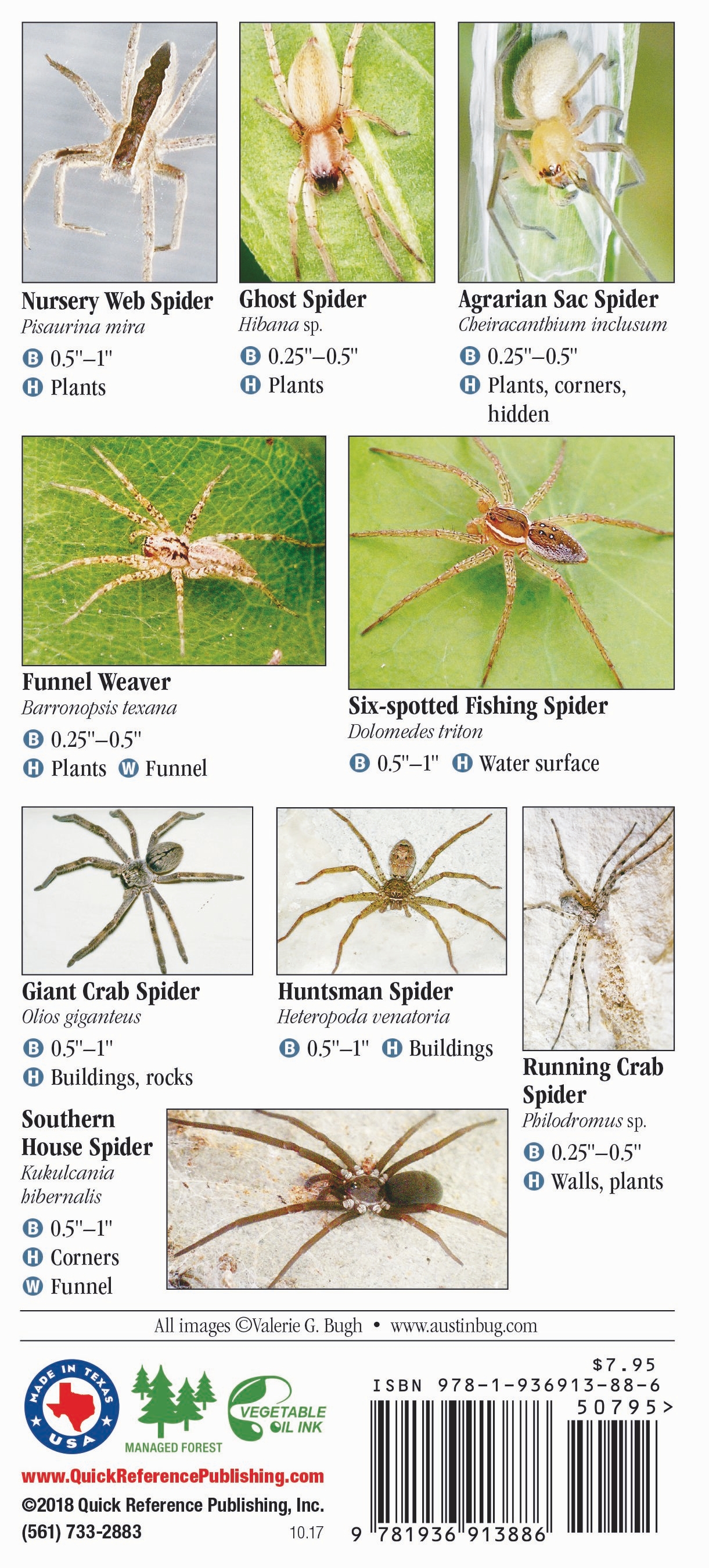 Spiders of Texas Quick Reference Publishing Retail