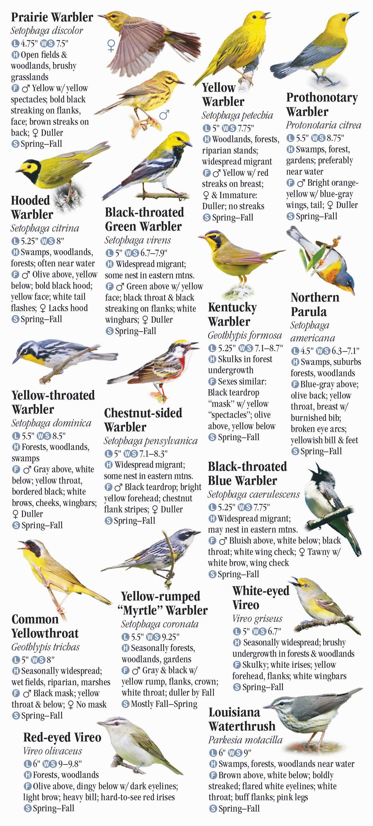 Birds of Kentucky – Quick Reference Publishing Retail