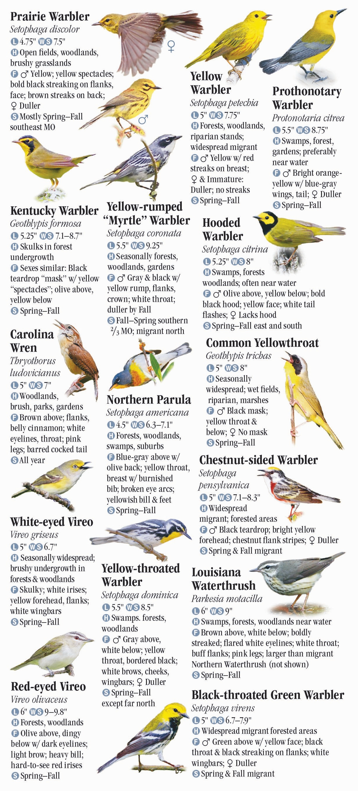 Birds of Missouri – Quick Reference Publishing Retail