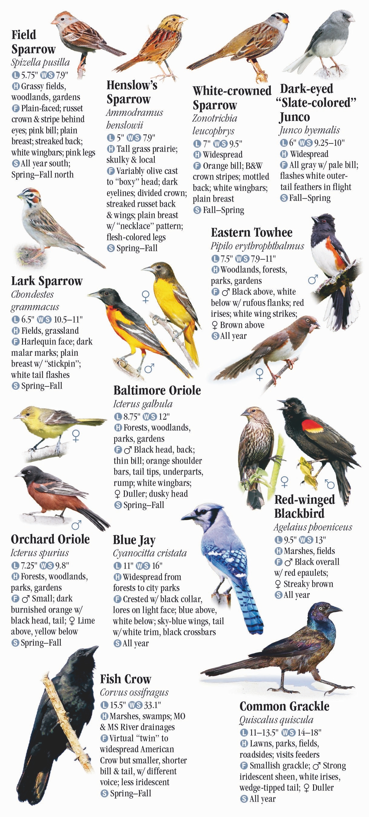 Birds of Missouri – Quick Reference Publishing Retail