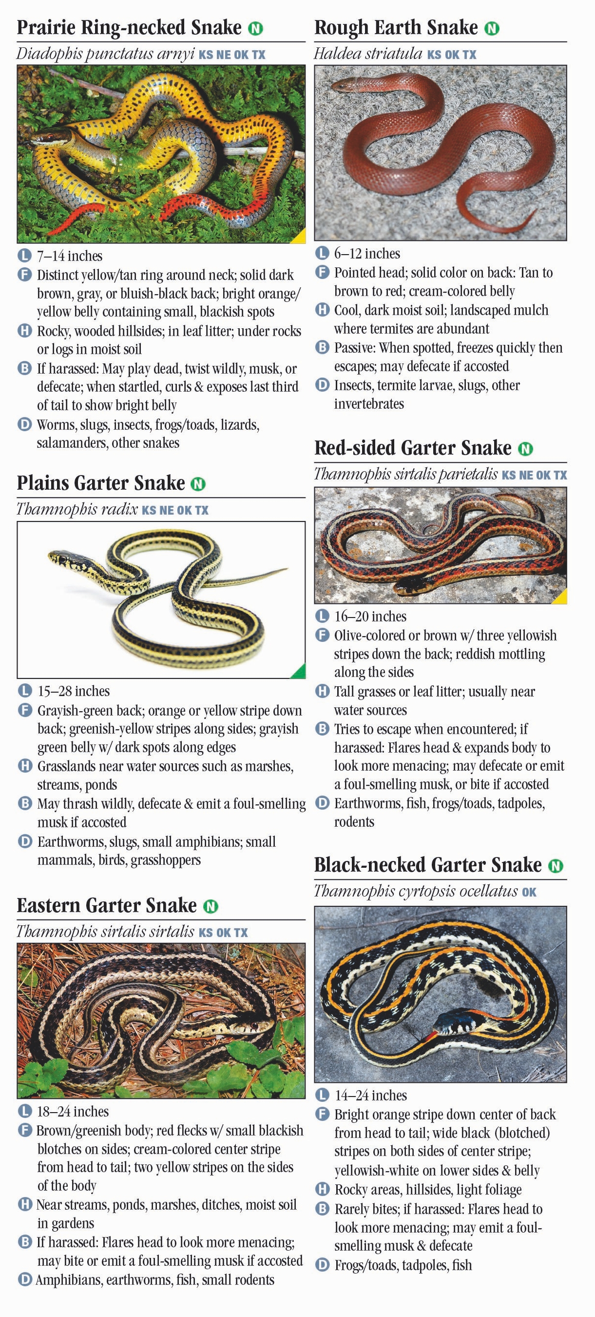 Snakes of the Great Plains – Quick Reference Publishing Retail