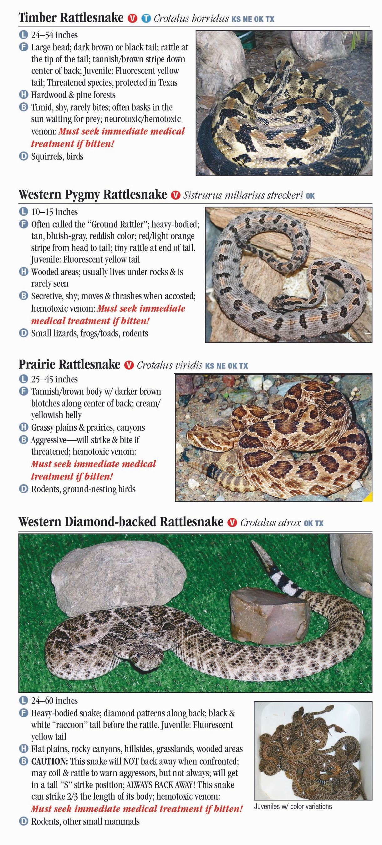 Snakes In Oklahoma Chart