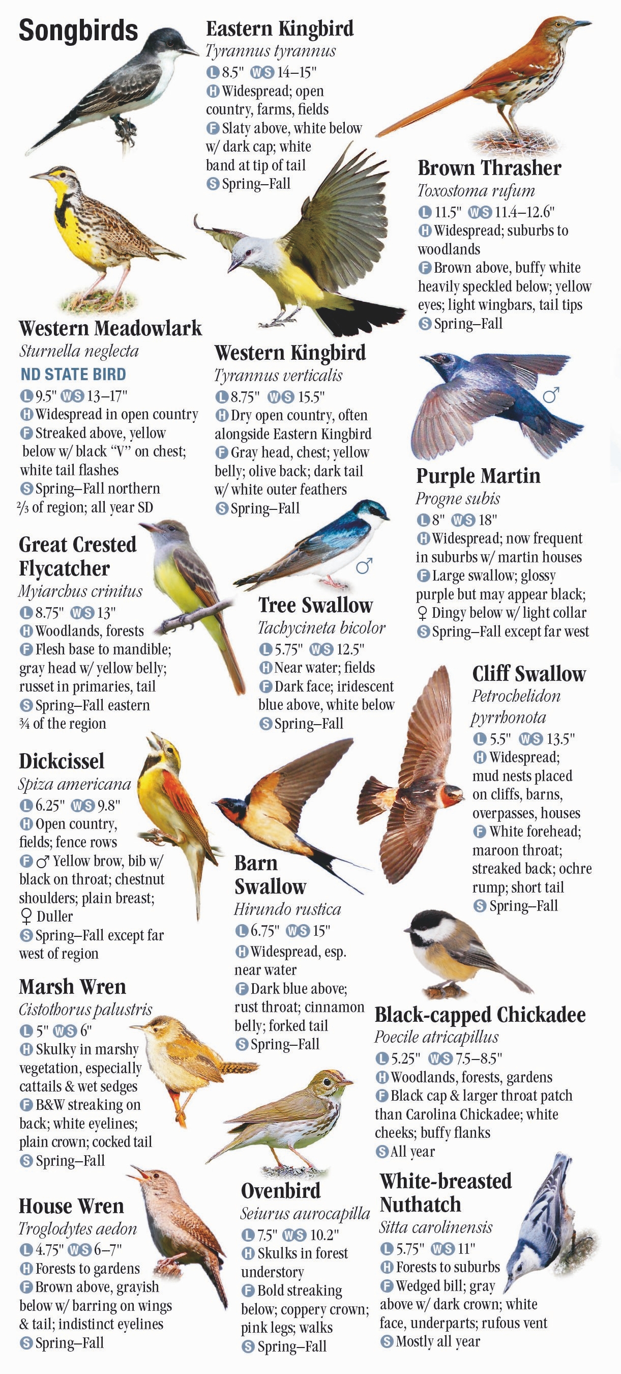 Birds of the Dakotas – Quick Reference Publishing Retail