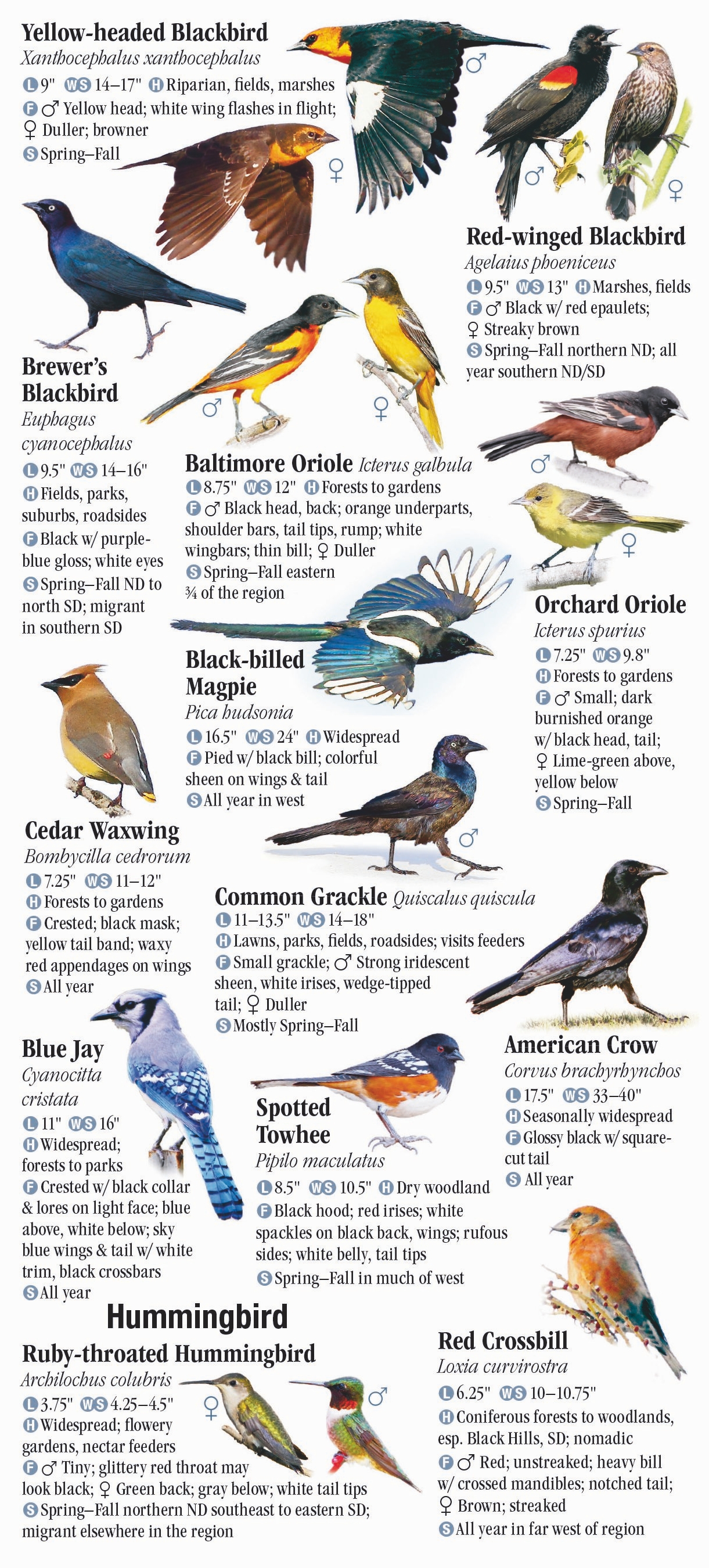 Birds of the Dakotas – Quick Reference Publishing Retail