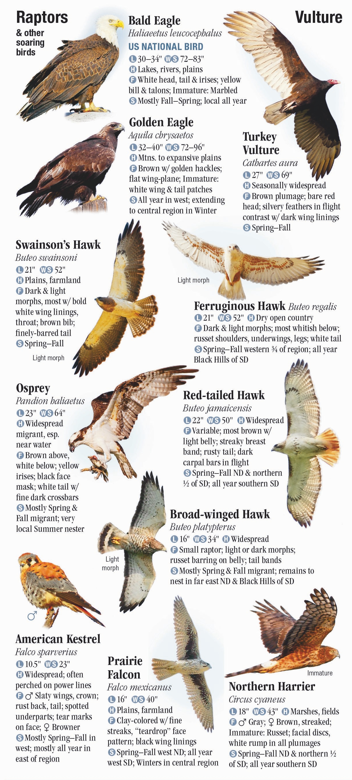 Birds Of The Dakotas – Quick Reference Publishing Retail