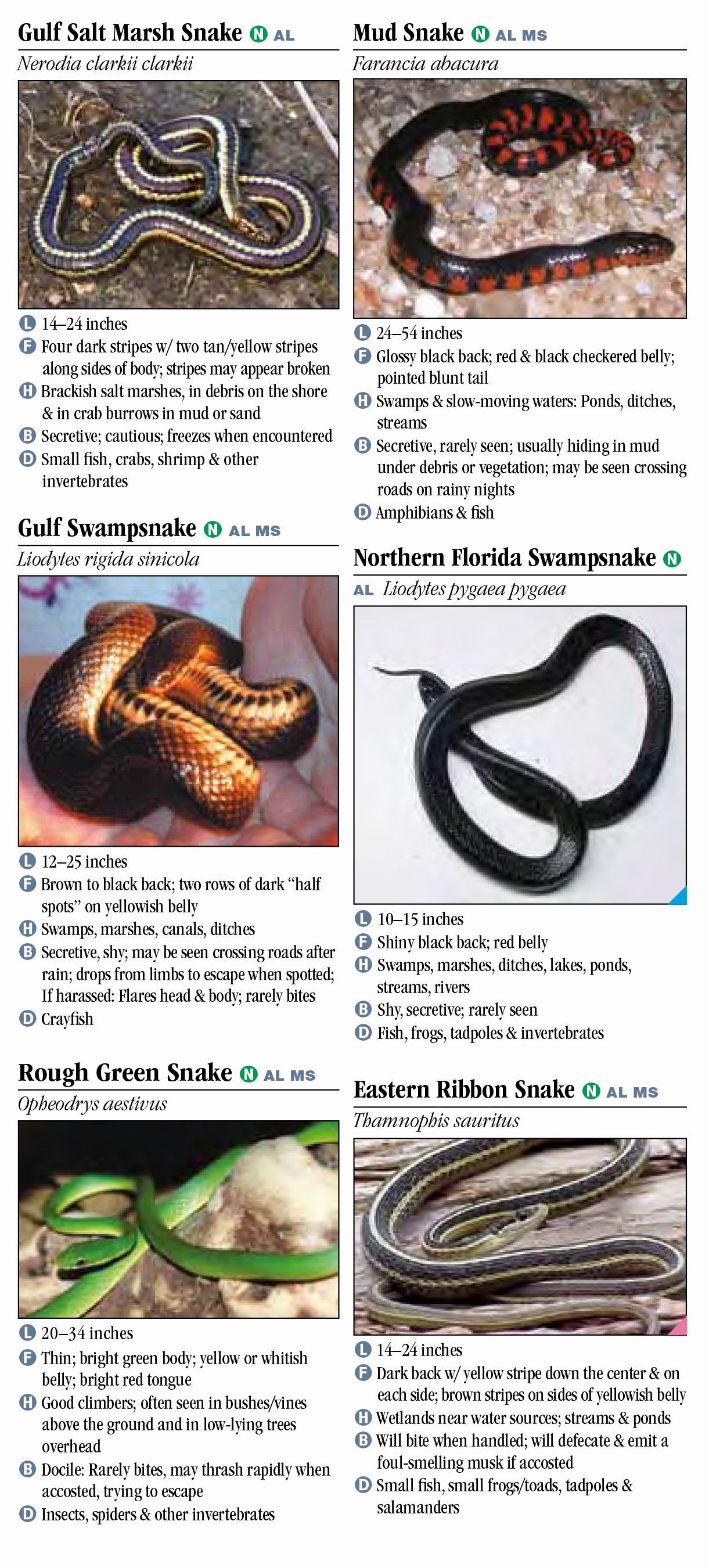 Snakes of Alabama and Mississippi – Quick Reference Publishing Retail