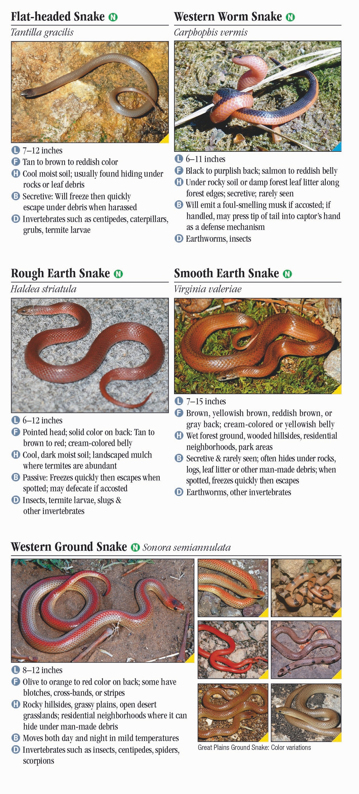 Snakes of Missouri – Quick Reference Publishing Retail