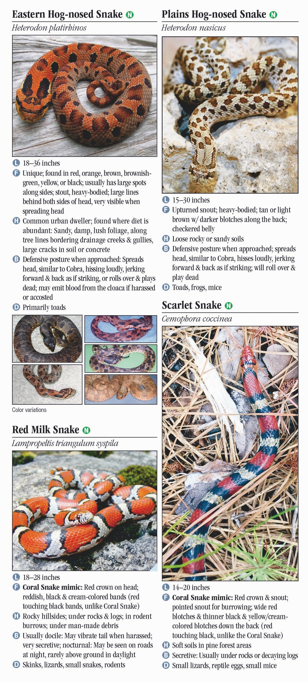 Snakes of Missouri – Quick Reference Publishing Retail