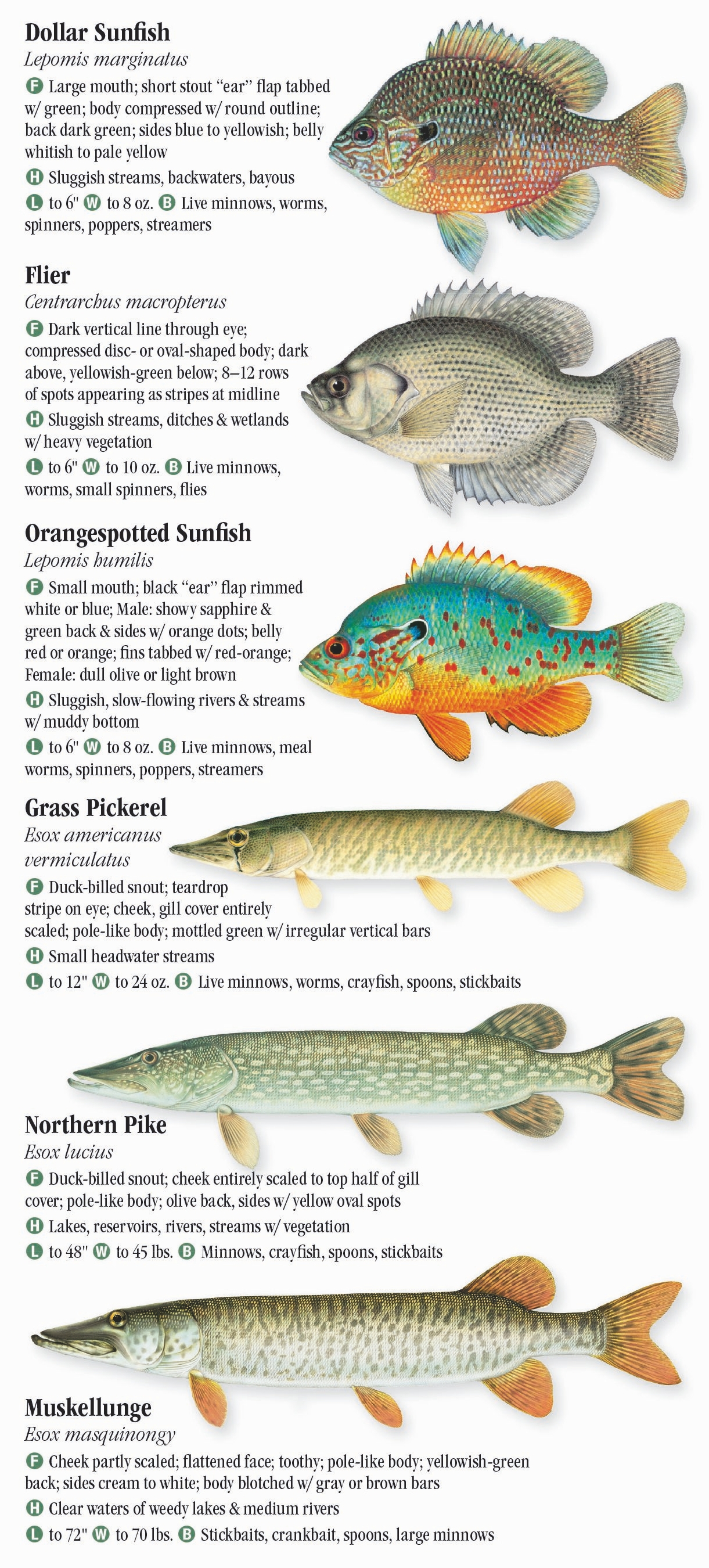 Freshwater Fishes of Kentucky Quick Reference Publishing Retail