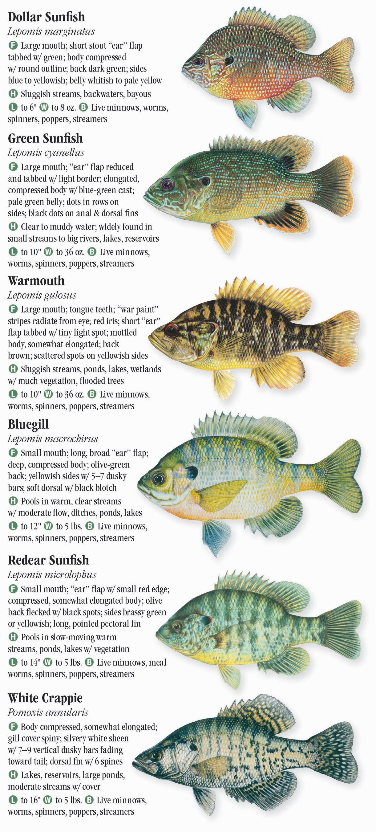 freshwater-fishes-of-missouri-quick-reference-publishing-retail