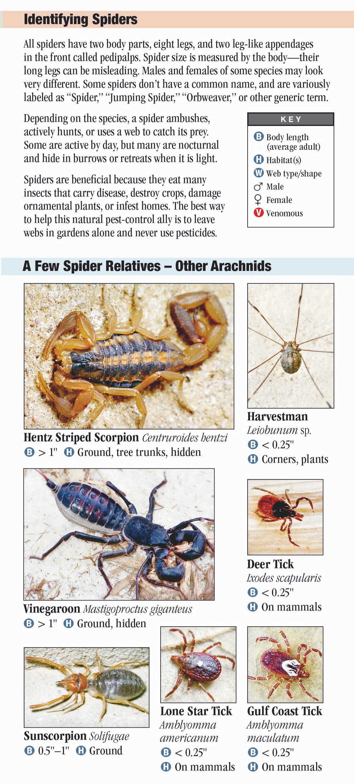 Spiders of Florida – Quick Reference Publishing Retail