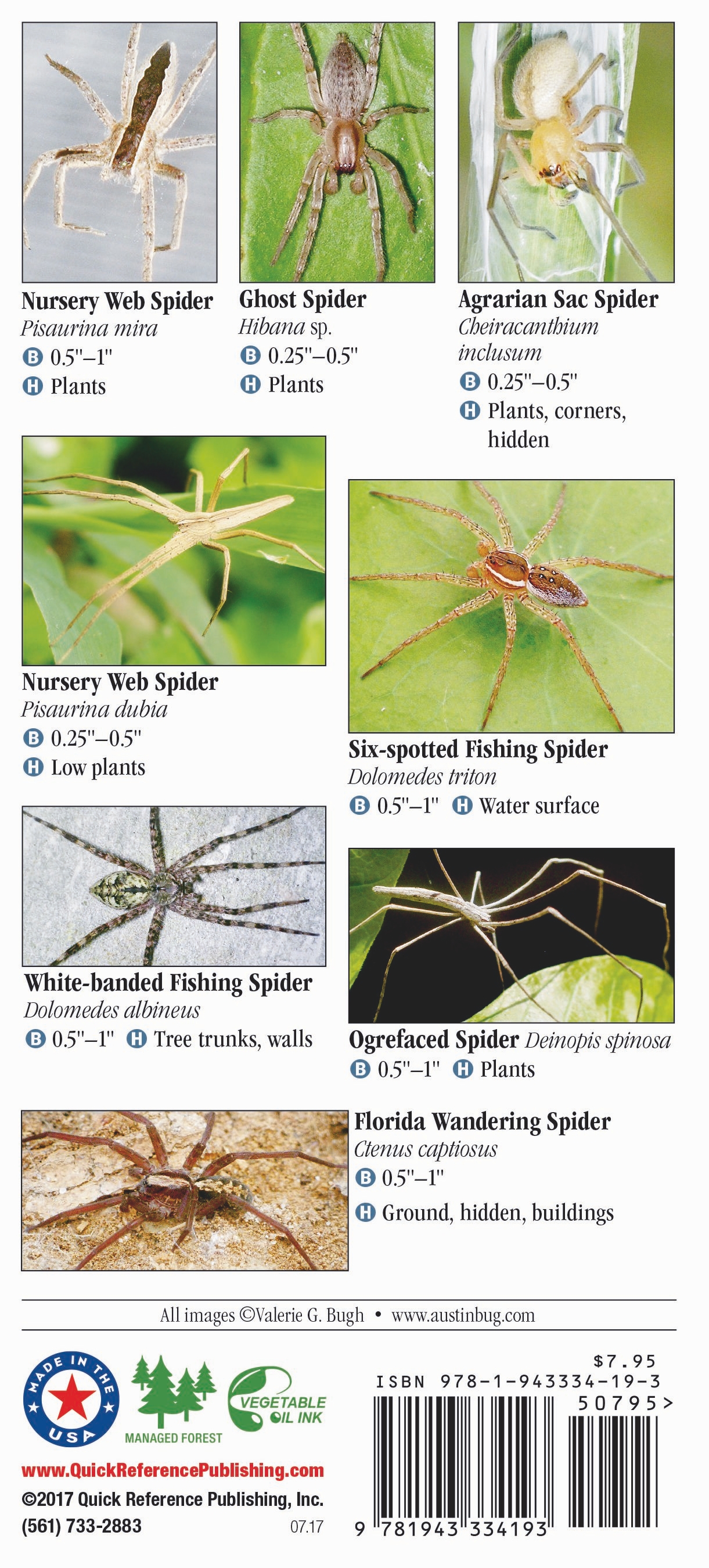 Spiders of Florida – Quick Reference Publishing Retail