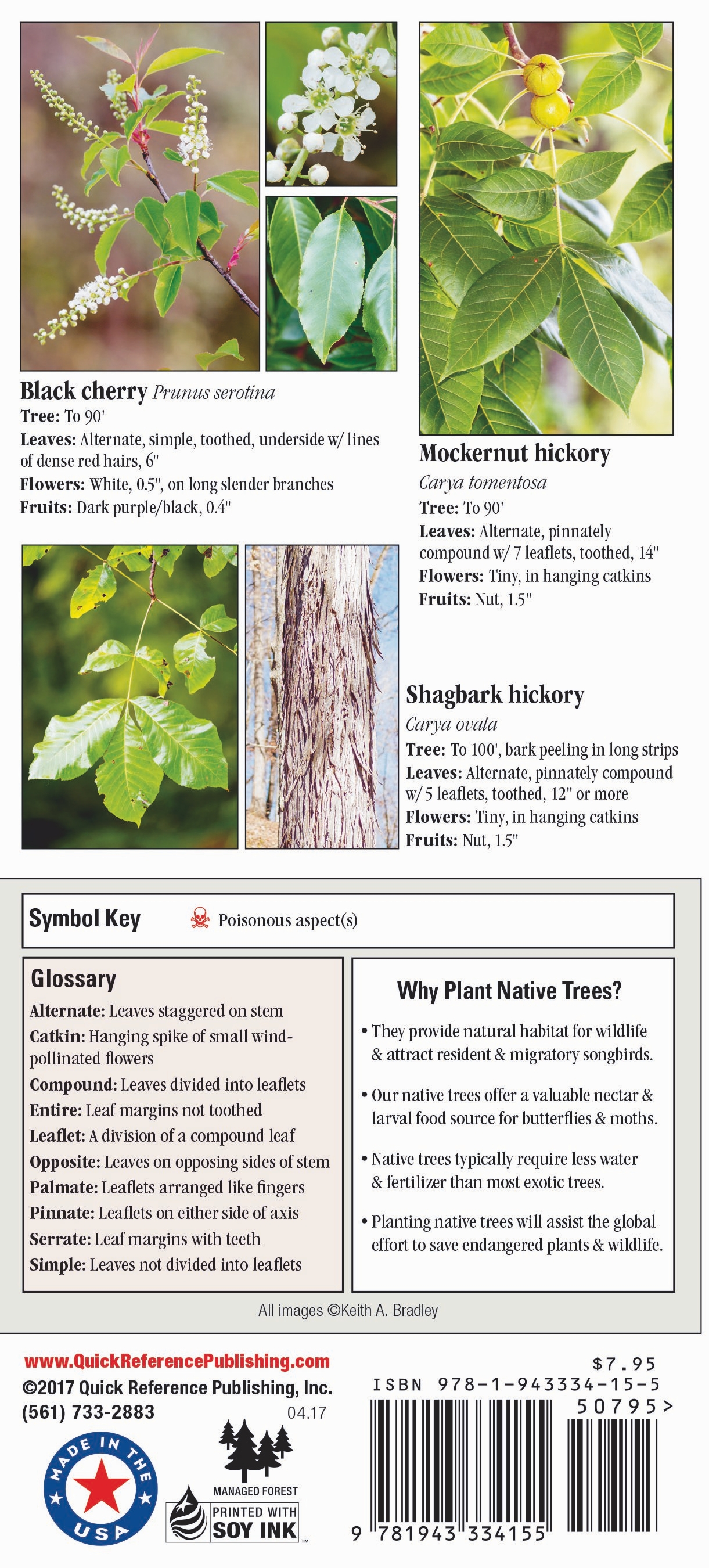 Trees of Appalachia - Quick Reference Publishing