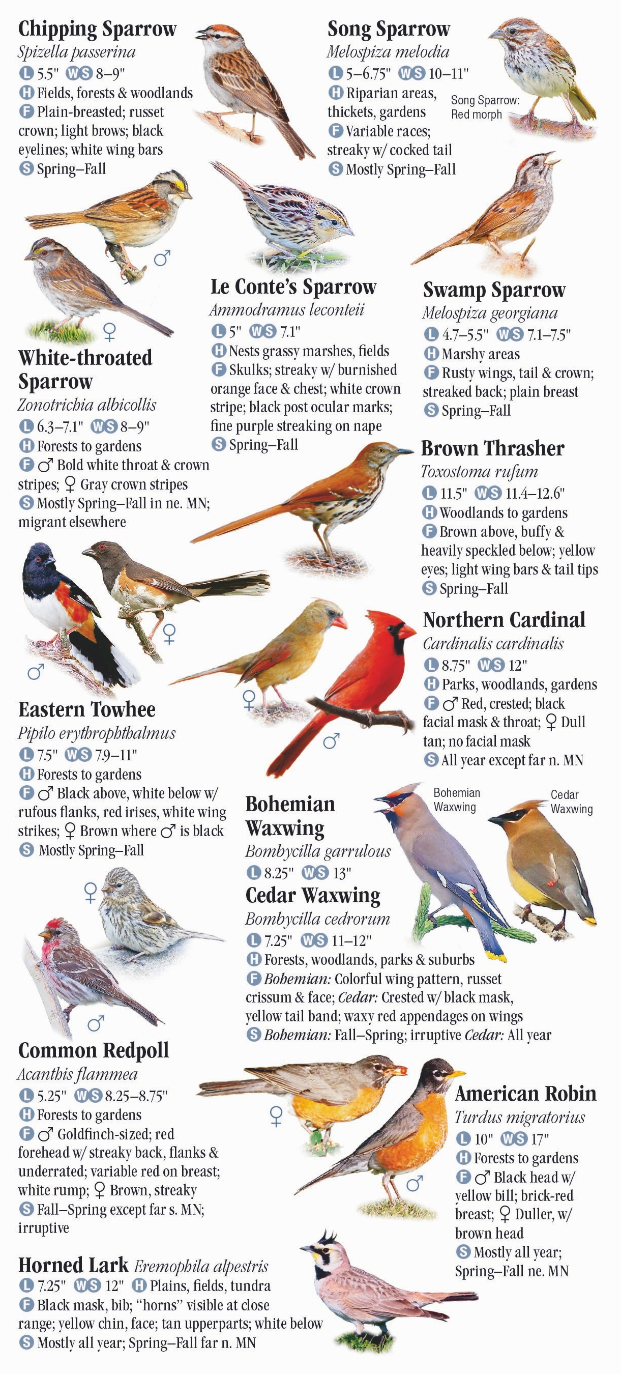 Birds of Minnesota – Quick Reference Publishing Retail